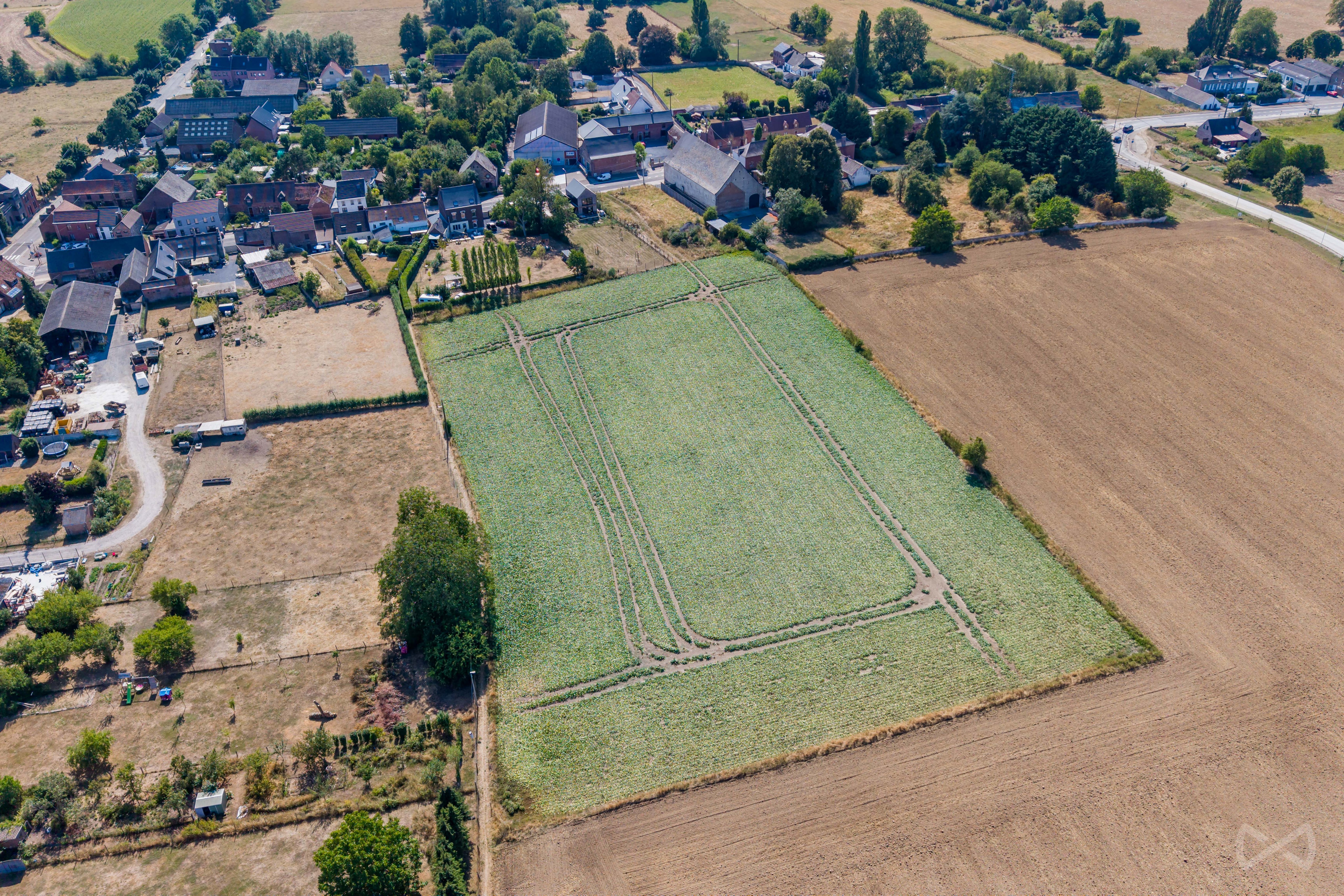 Picture 2 of 4 for Building ground in Harmignies