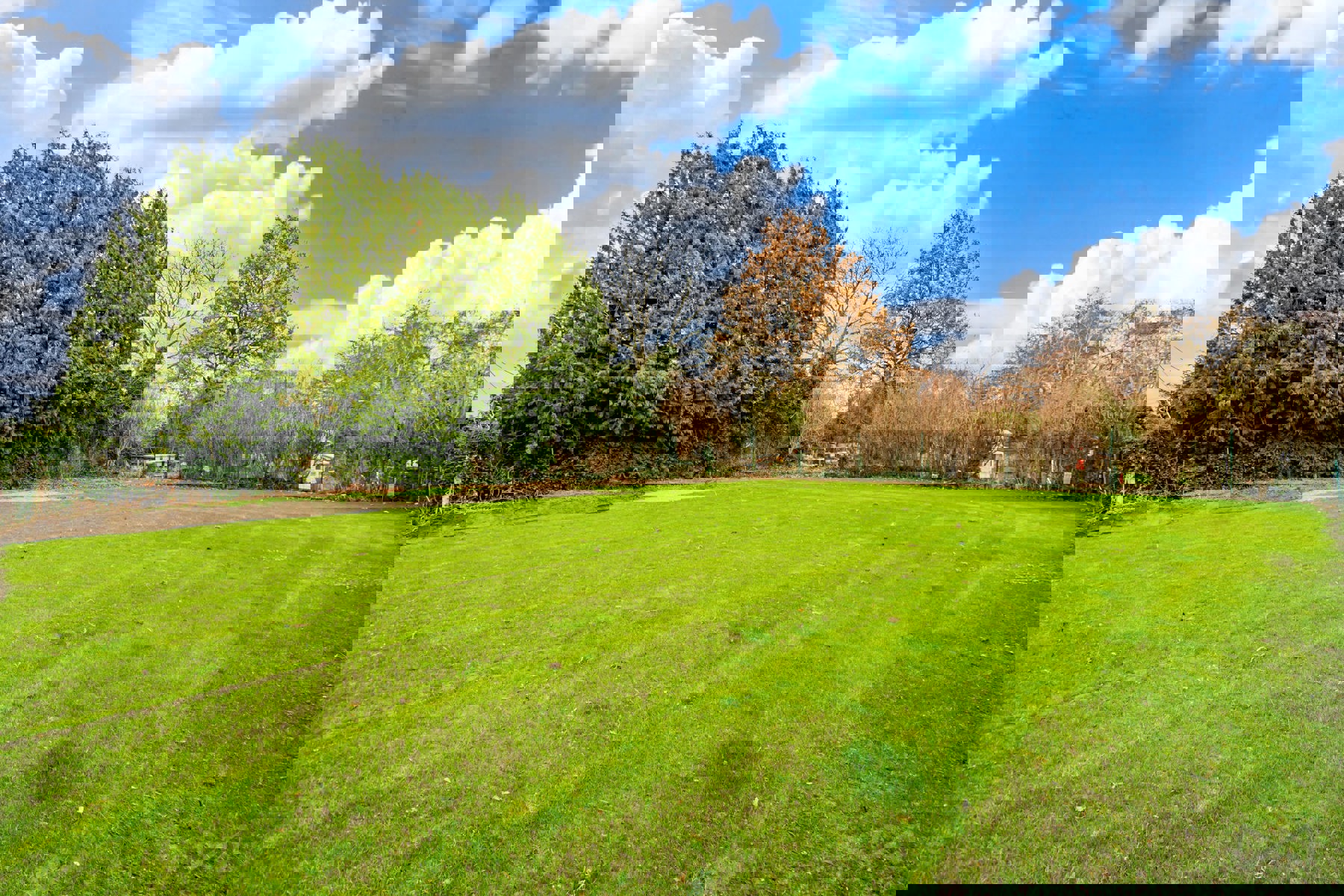 Picture 1 of 5 for Building ground in Hannut