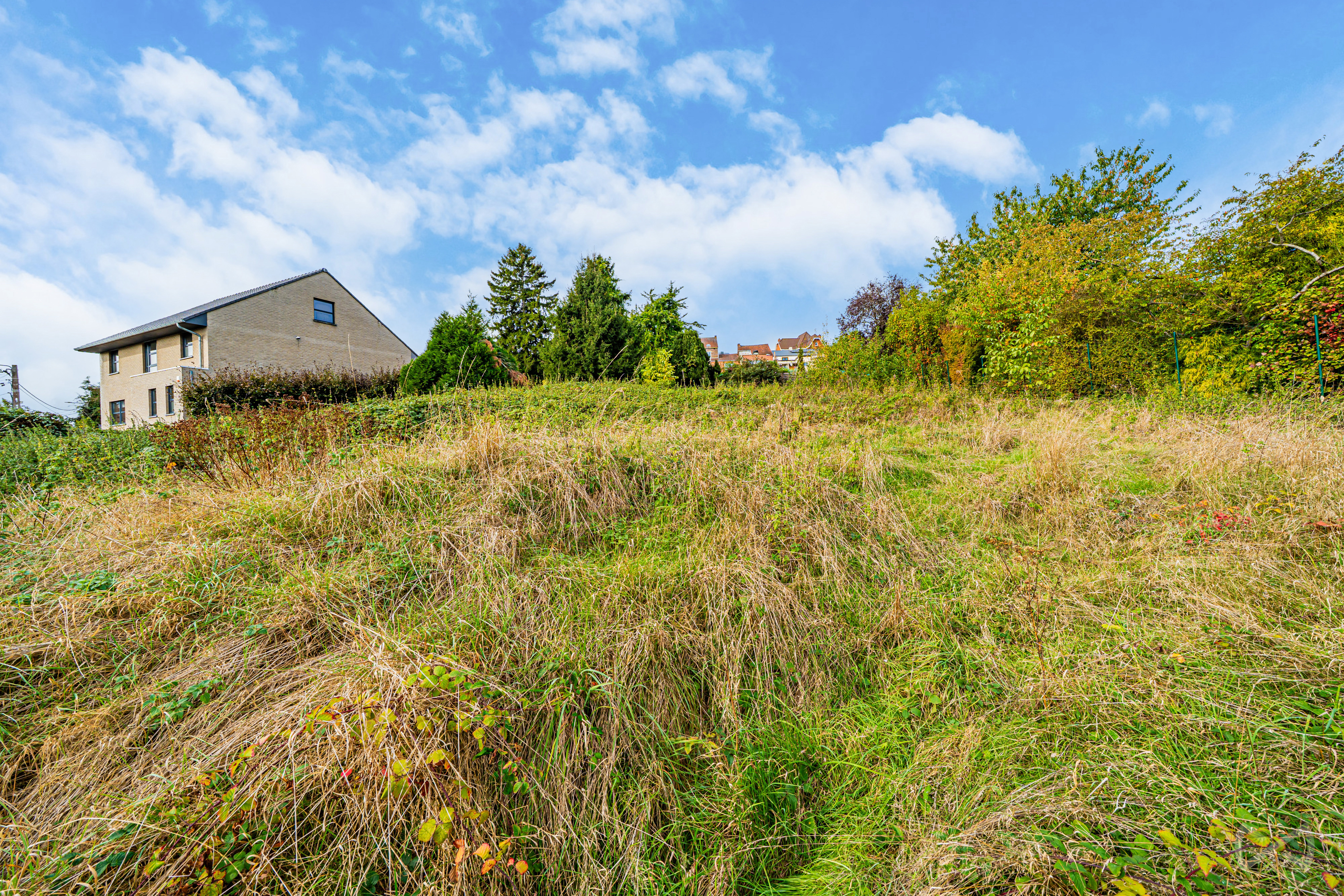 Foto van de woning