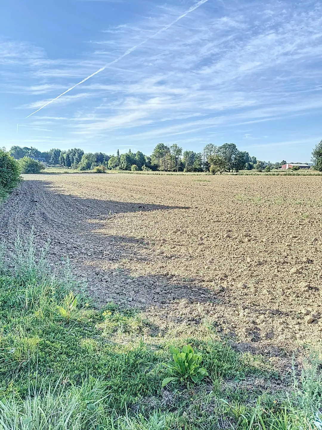 Picture 3 of 3 for Building ground in Burdinne Hannêche