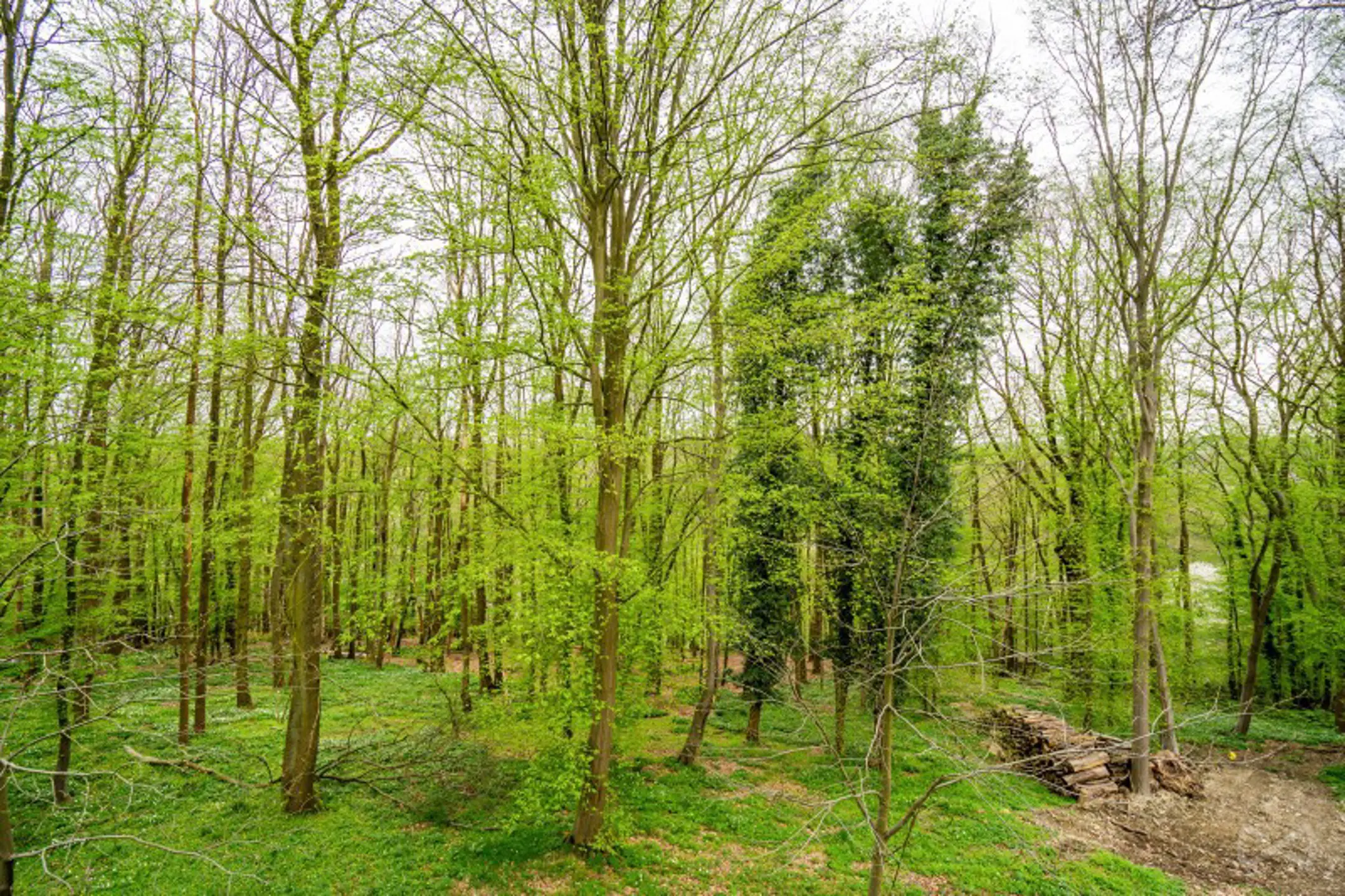 Foto van de woning