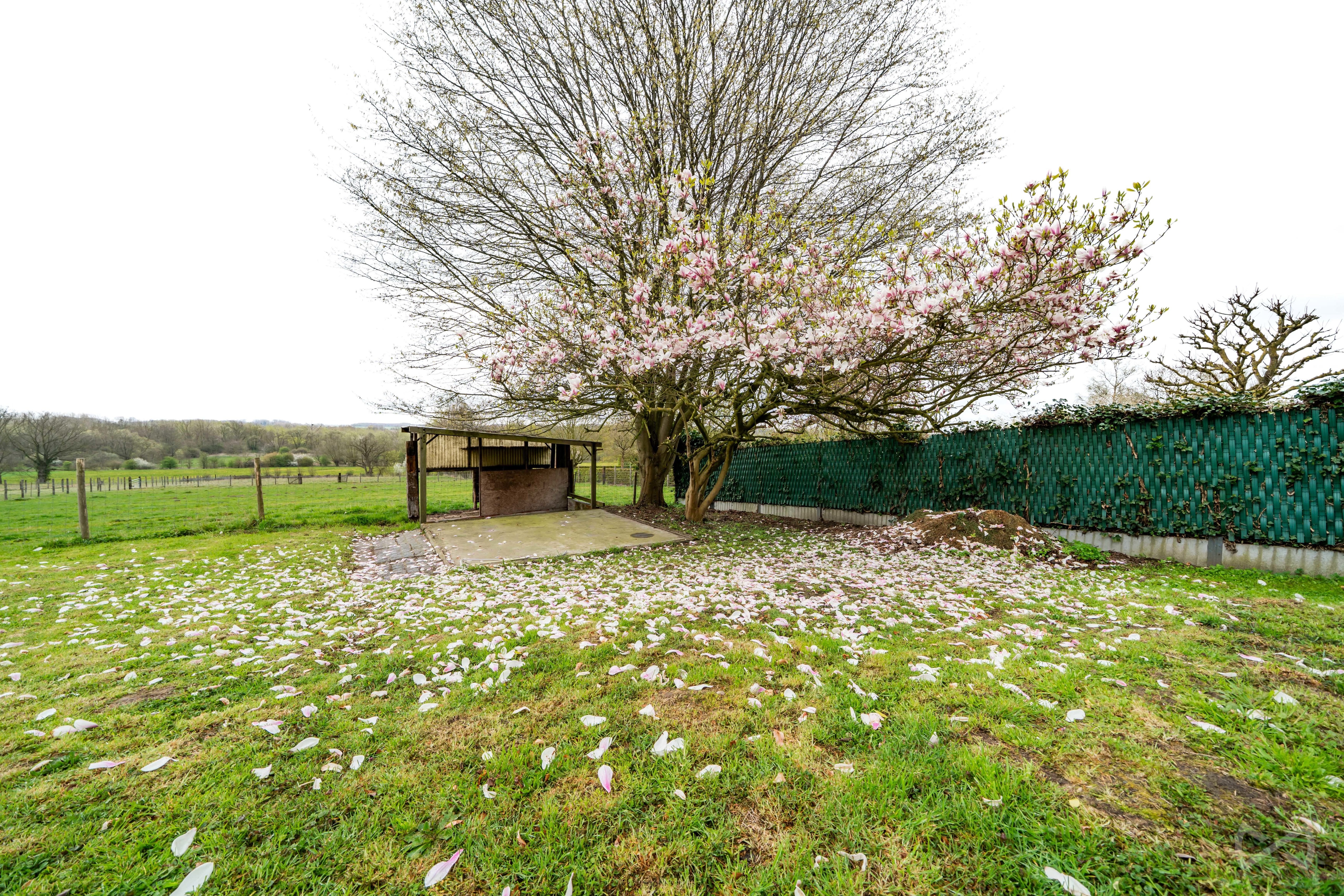 Picture 1 of 4 for House with two bedrooms in Deux-acren