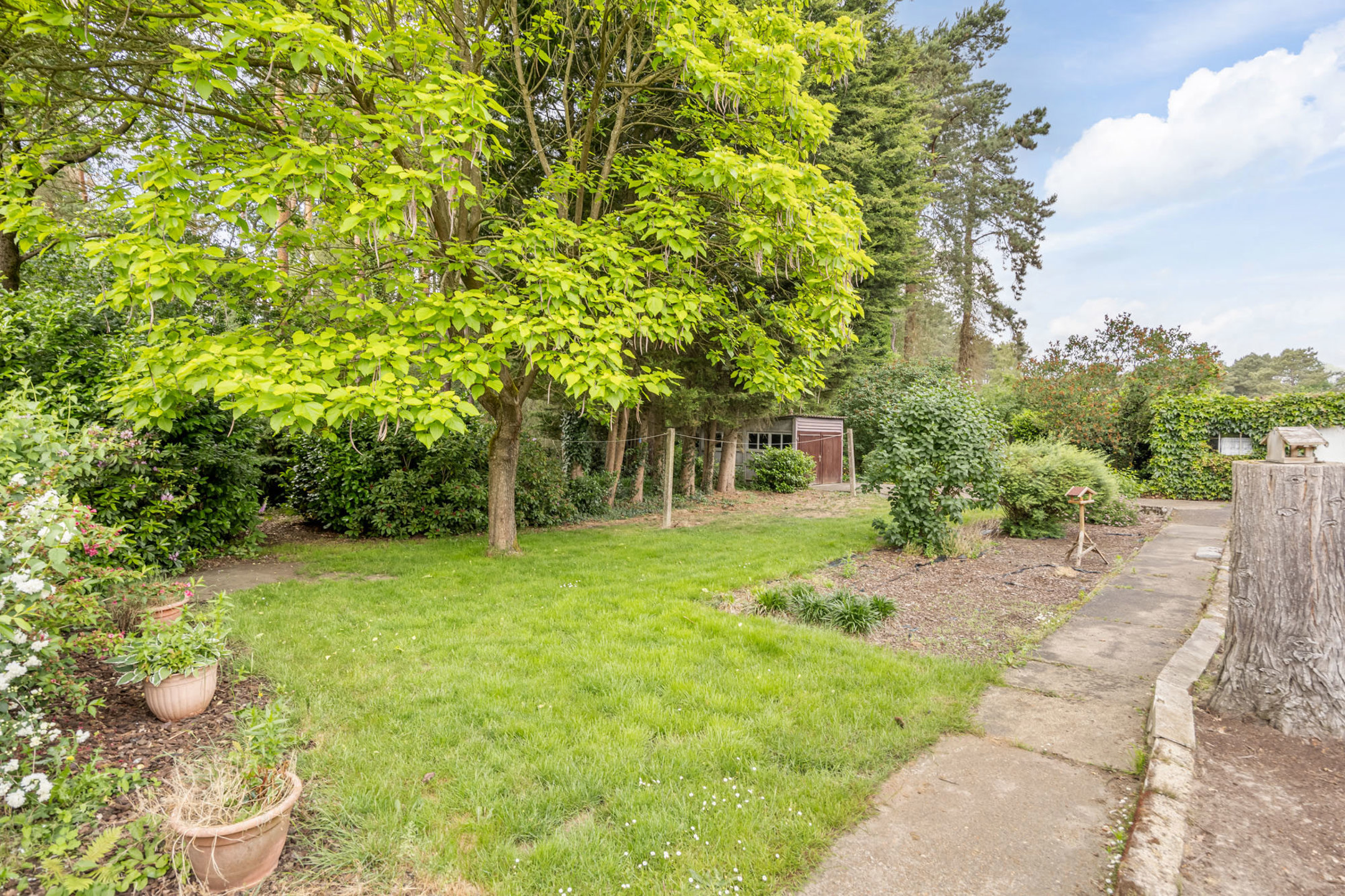 Picture 1 of 4 for House with three bedrooms in Tessenderlo-Ham