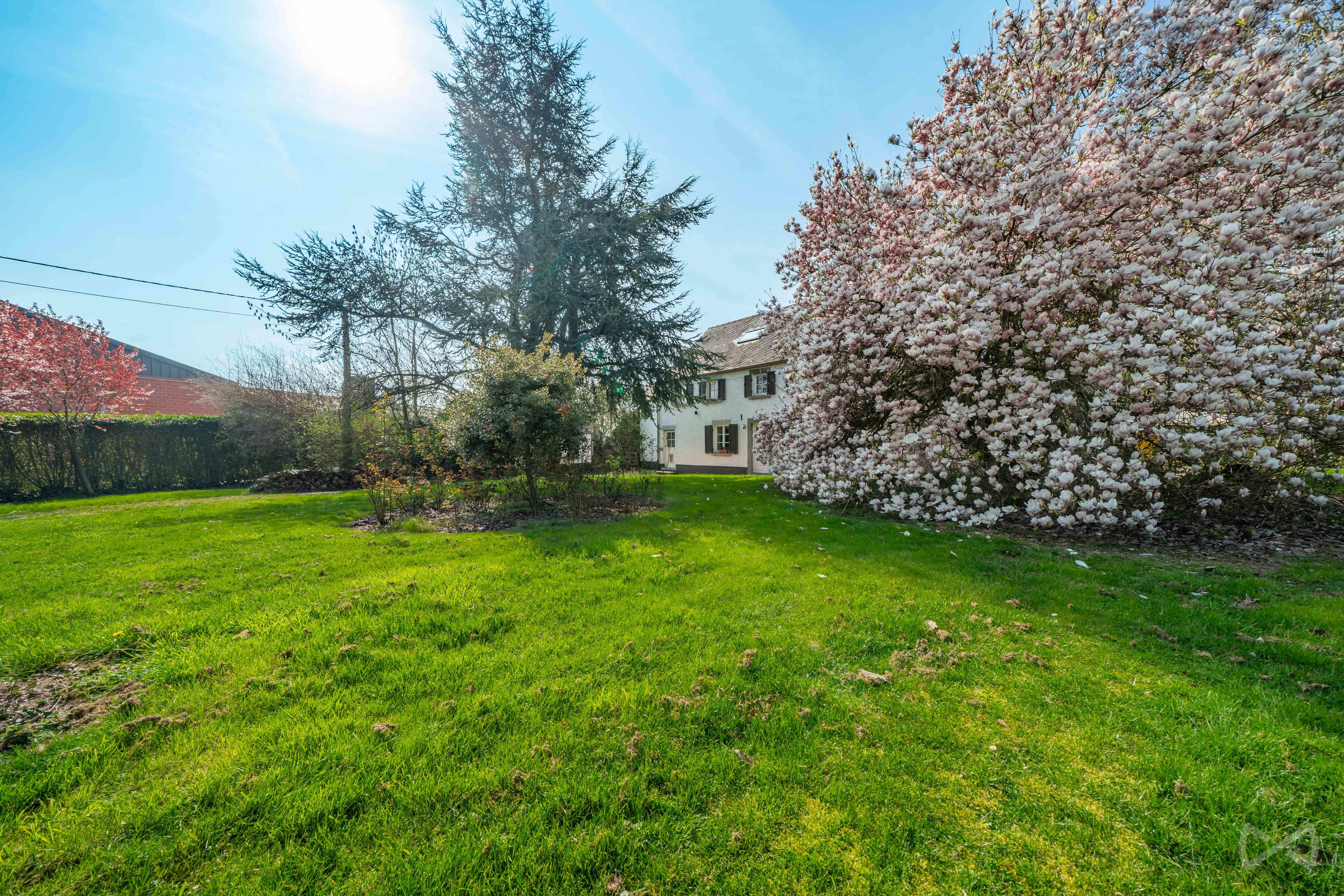 Picture 2 of 4 for Villa with three bedrooms in Bolinne