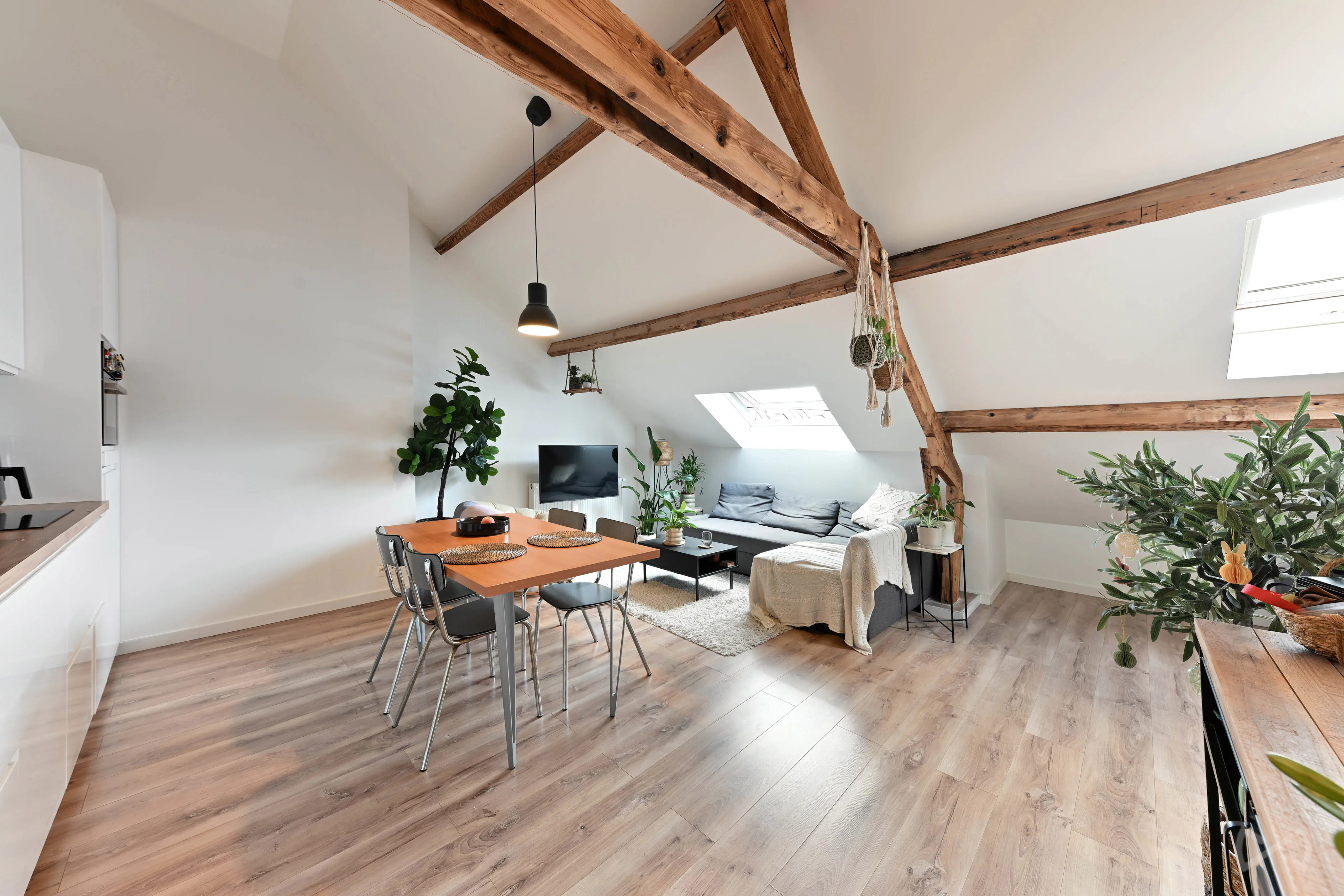 Picture 1 of 4 for Apartment block with seven bedrooms in Leuven