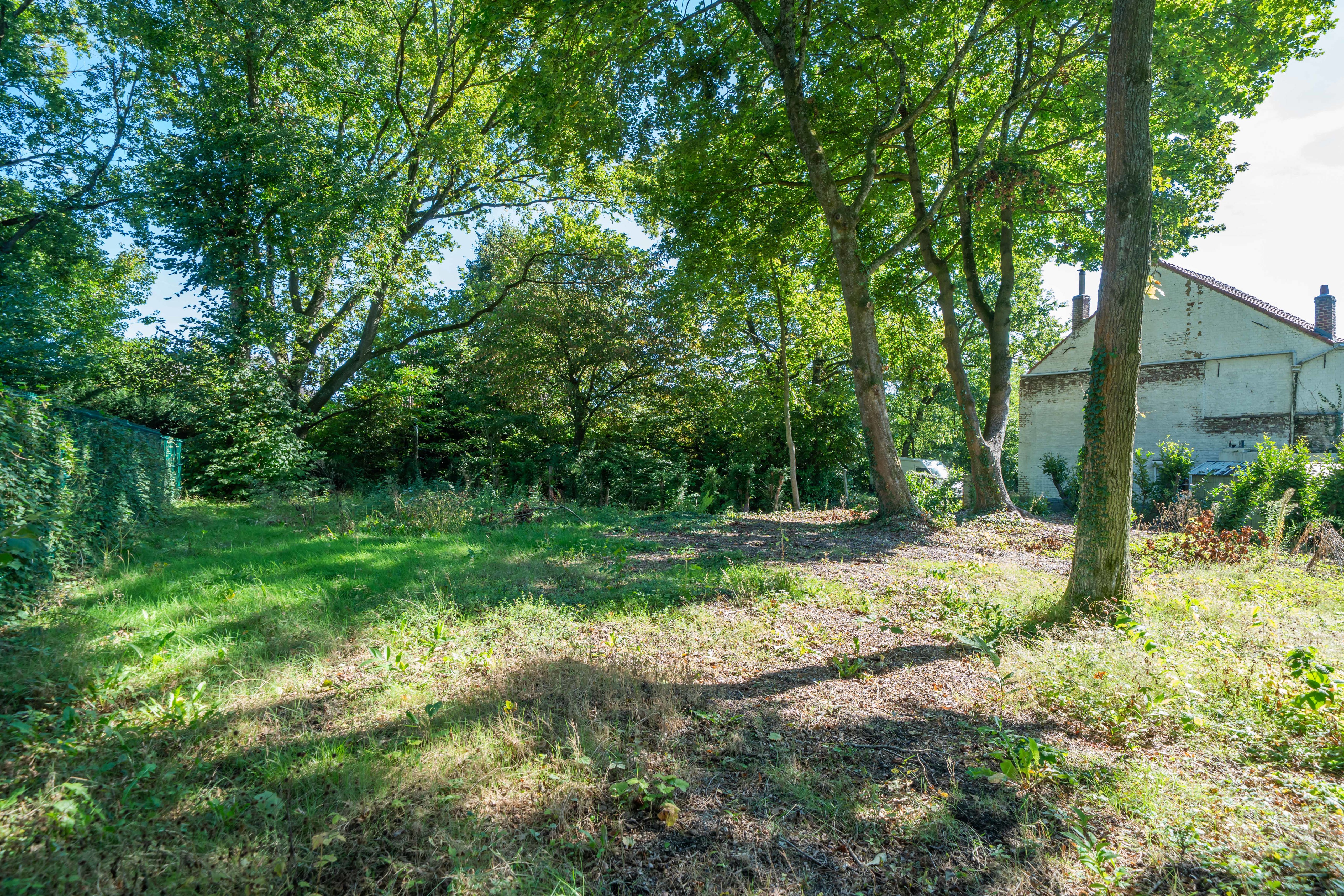 Foto van de woning