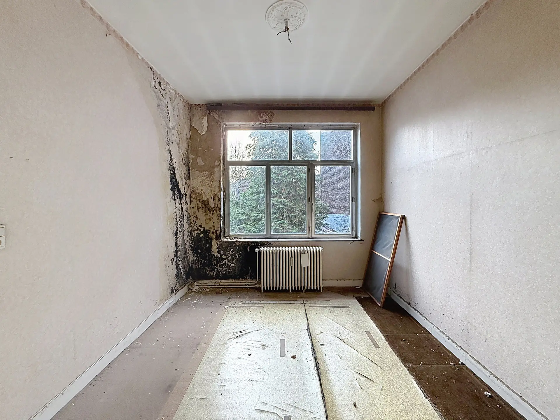 Photo 4 sur 4 pour Immeuble à appartements de cinq chambres à Schaerbeek
