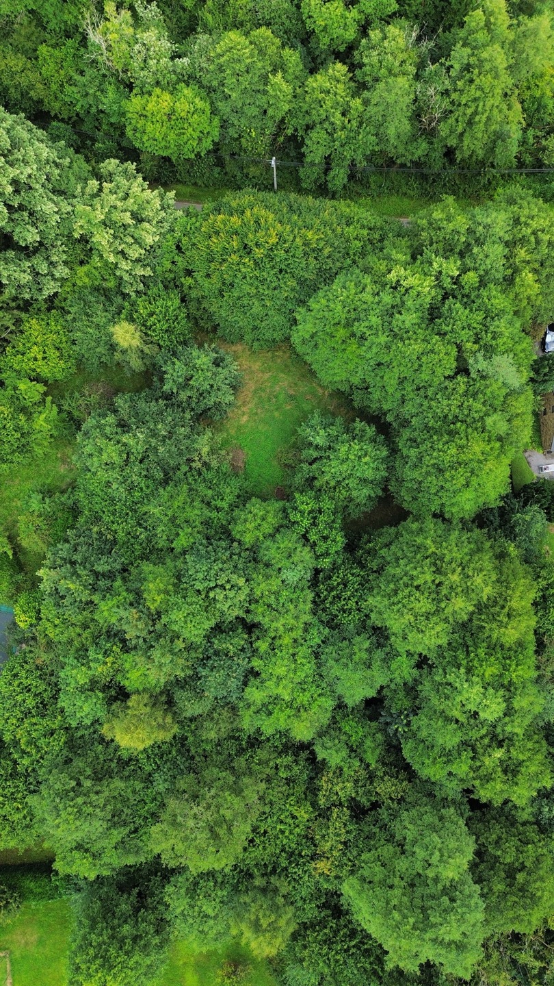 Foto 2 van 3 van Bouwgrond in Stoumont