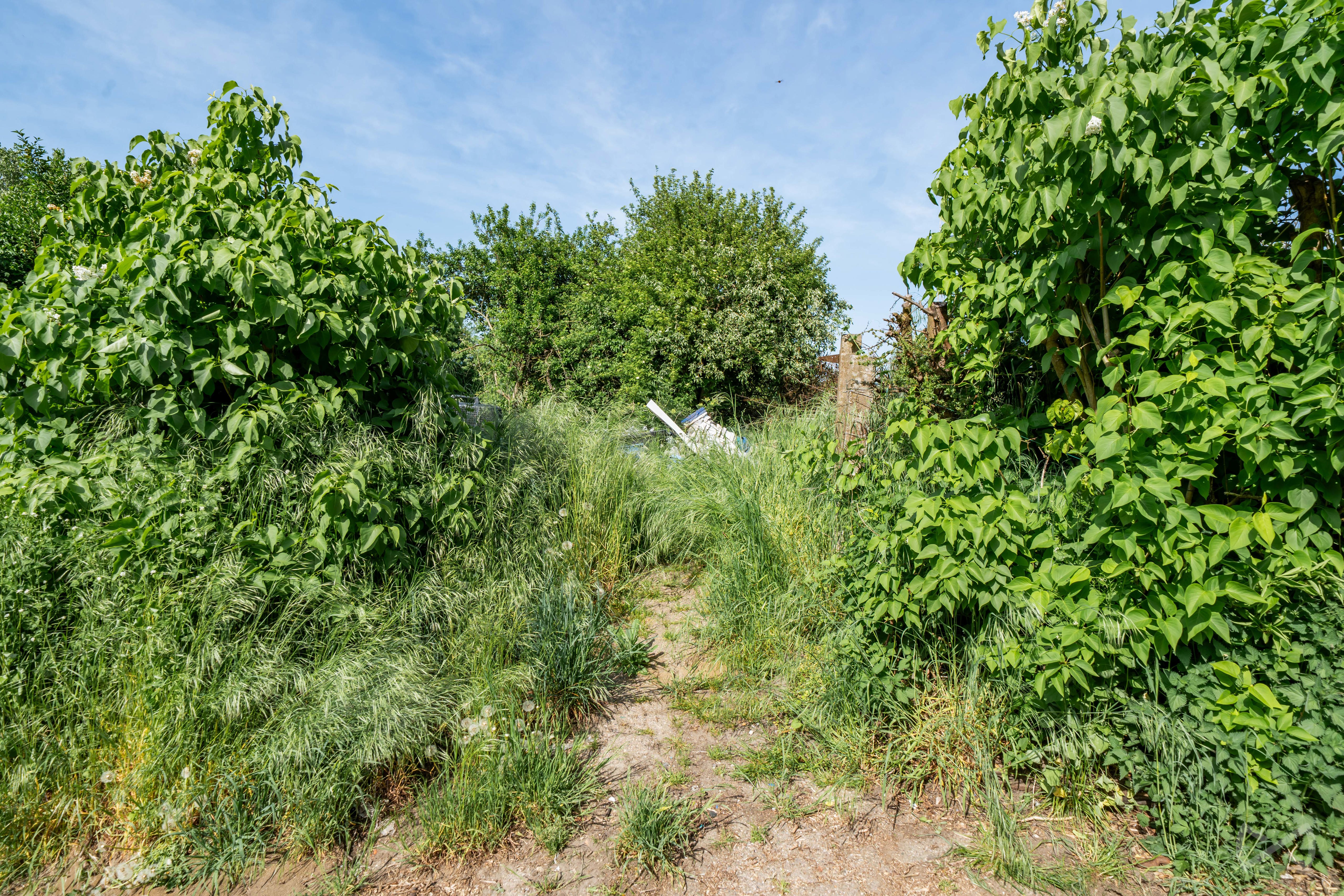 Photo 2 sur 4 pour Terrain à bâtir à Jodoigne