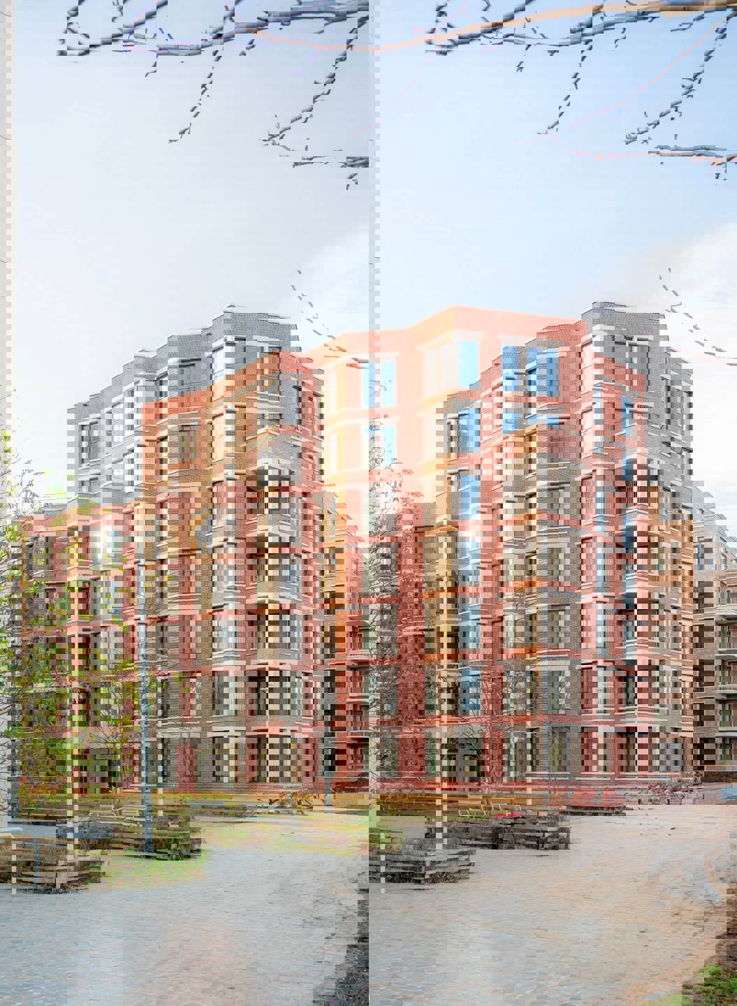 Picture of the project