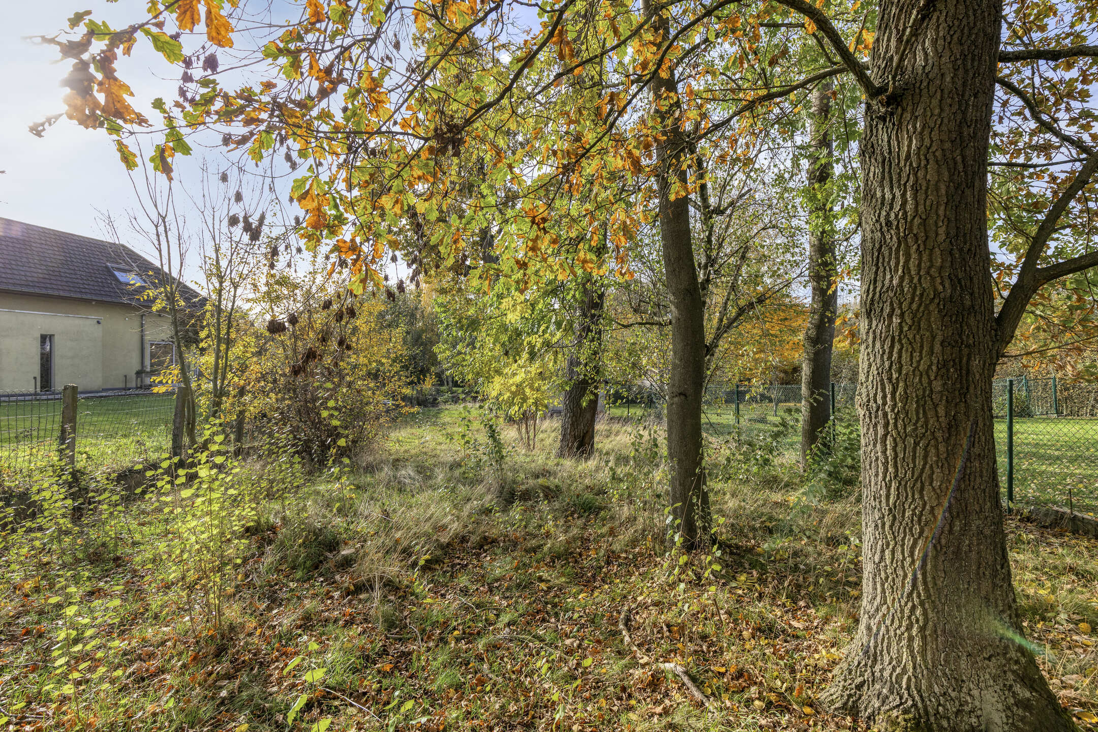 Photo 4 sur 4 pour Maison de trois chambres à Dilbeek