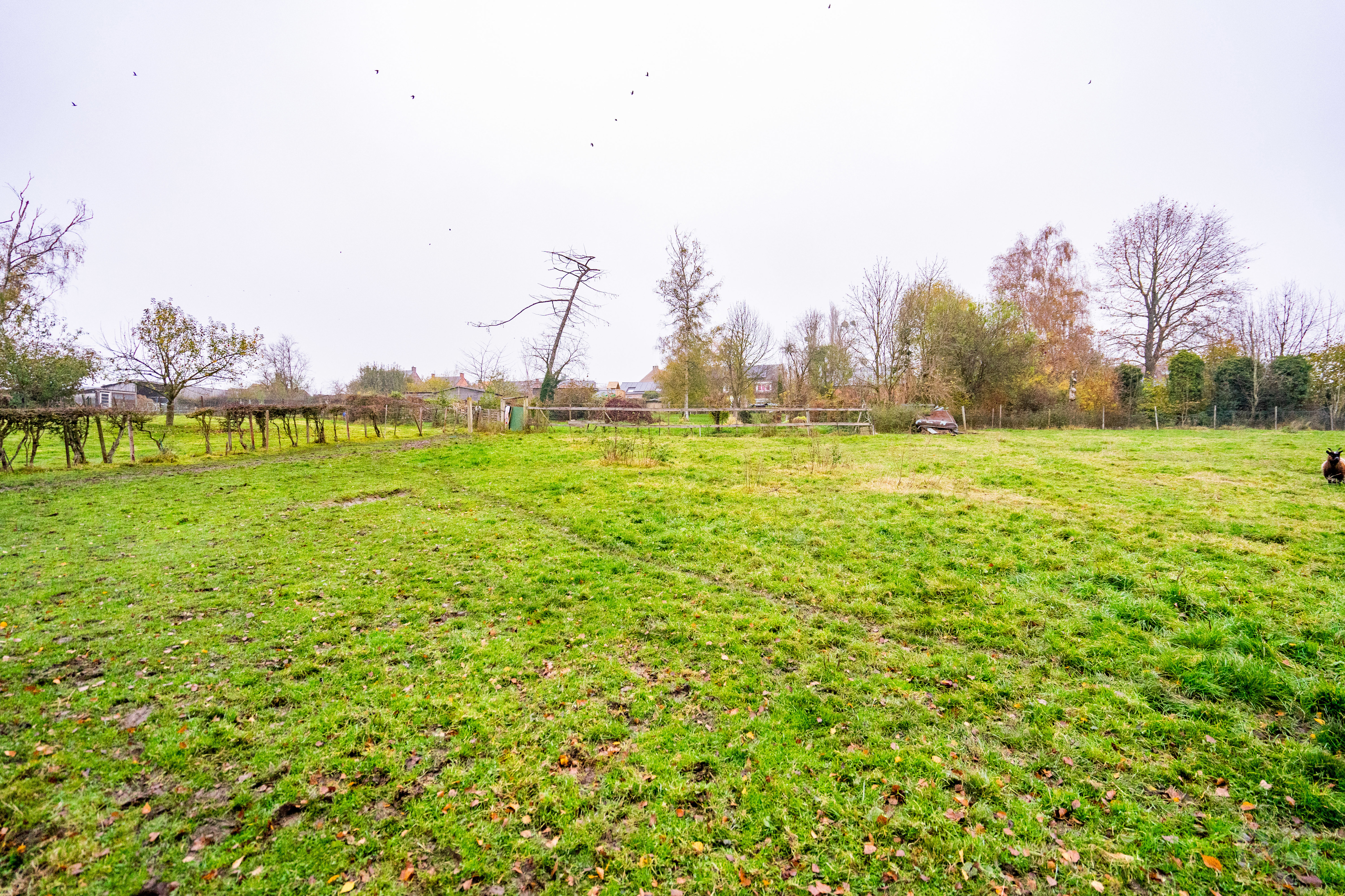 Picture 2 of 4 for Building ground in Burdinne