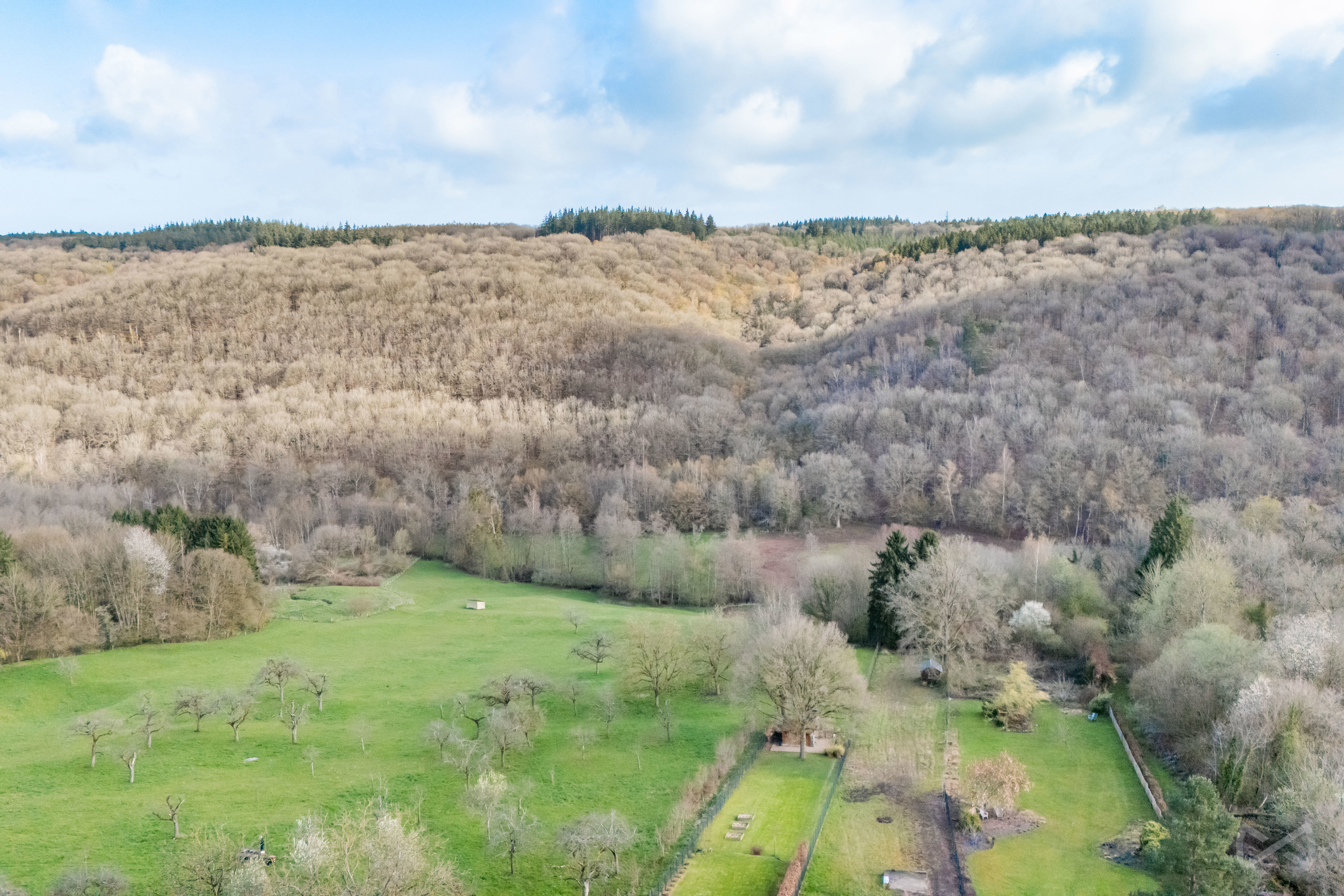 Photo 3 sur 4 pour Terrain à Lustin