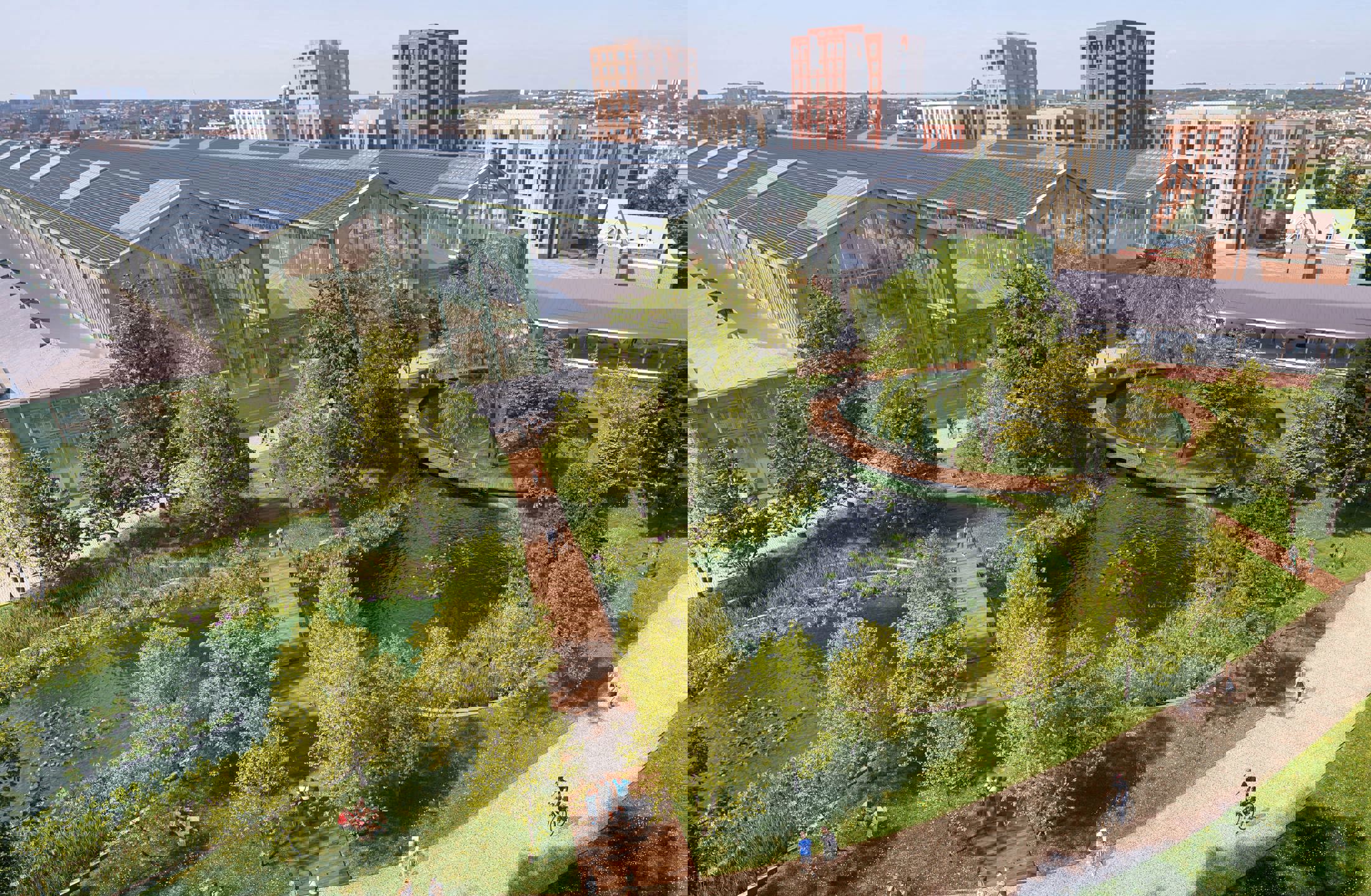 Picture of the project