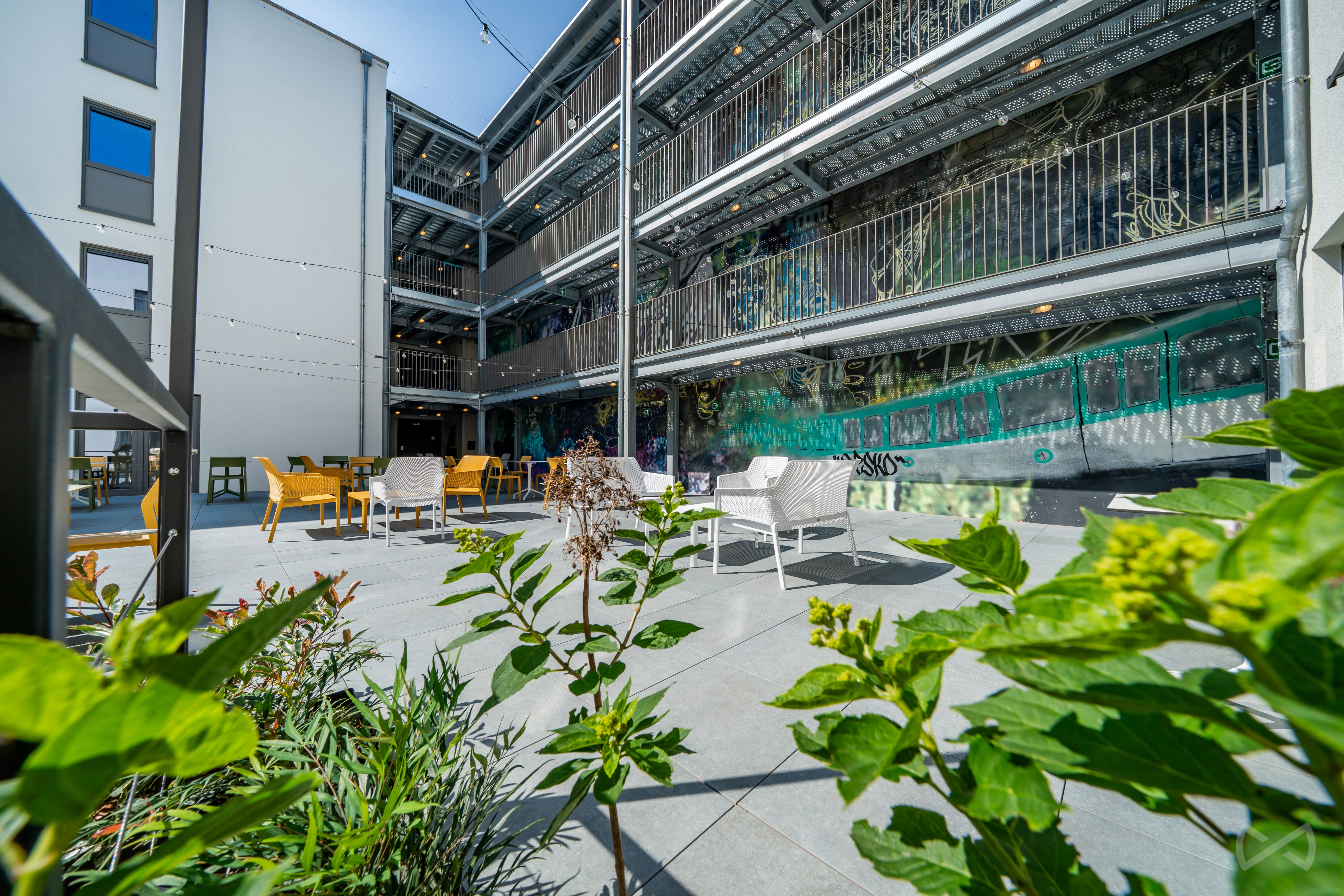 Chick and kot — foto 1