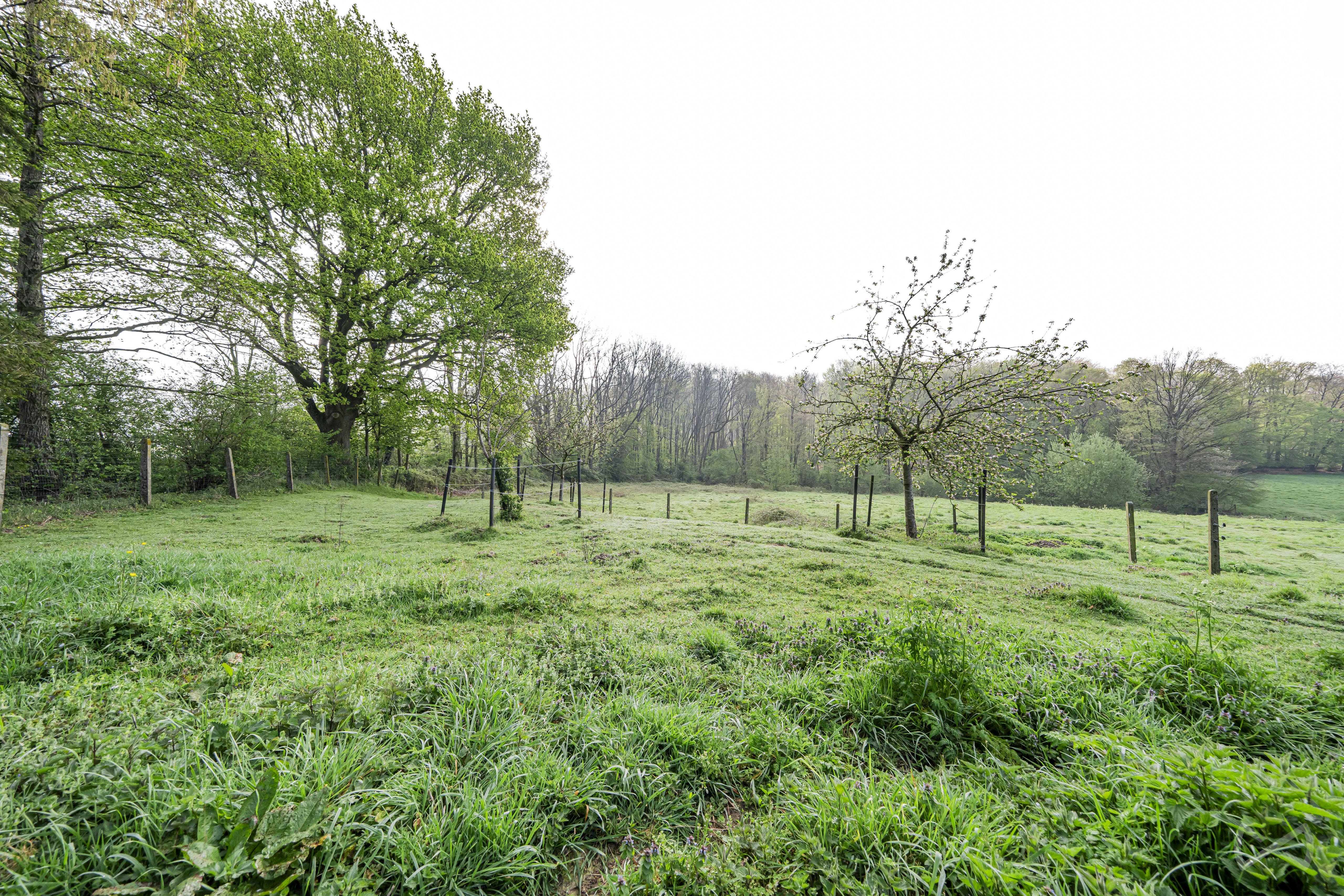 Picture 3 of 4 for House with four bedrooms in Braine-le-comte
