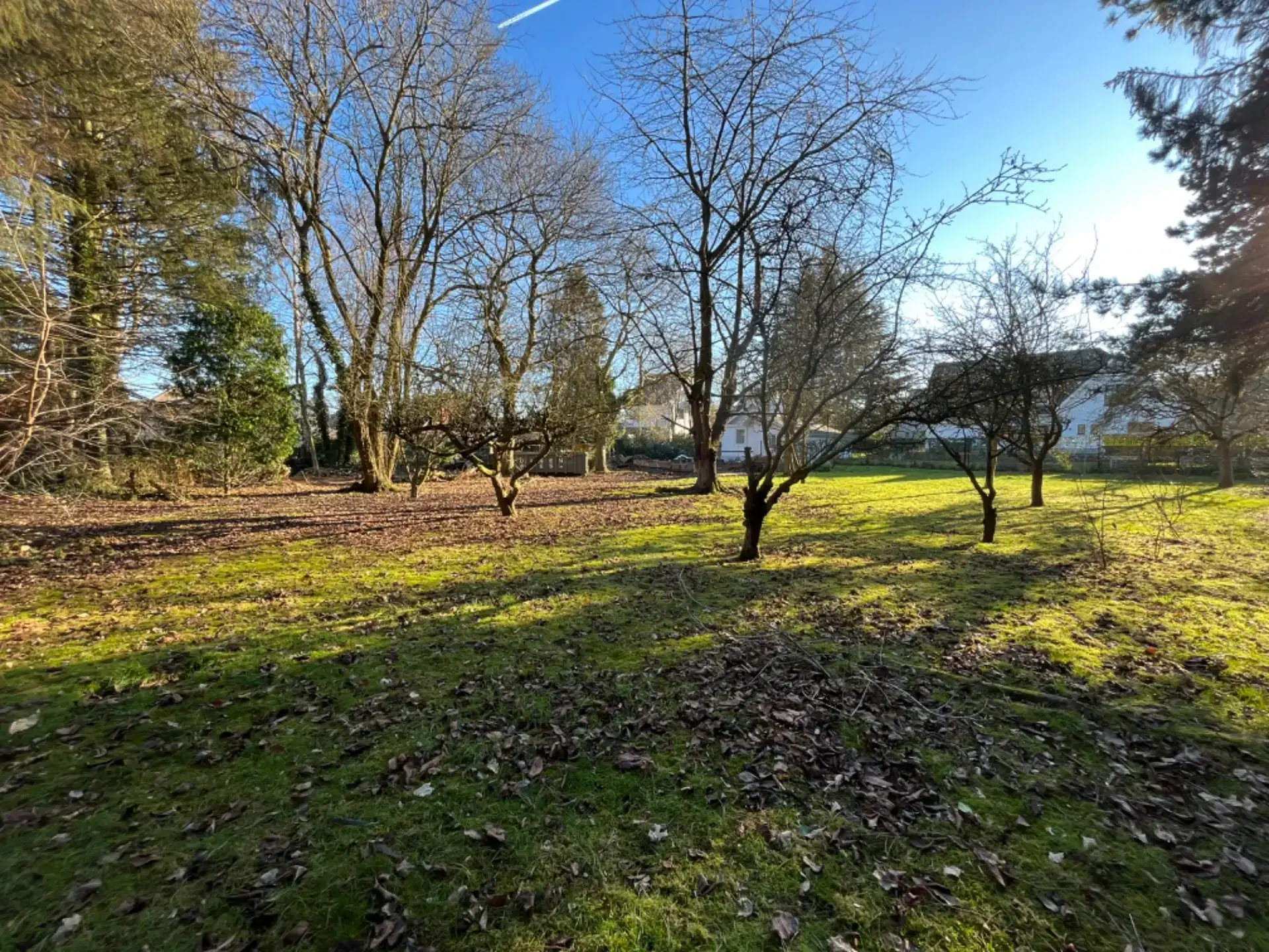 Foto van de woning