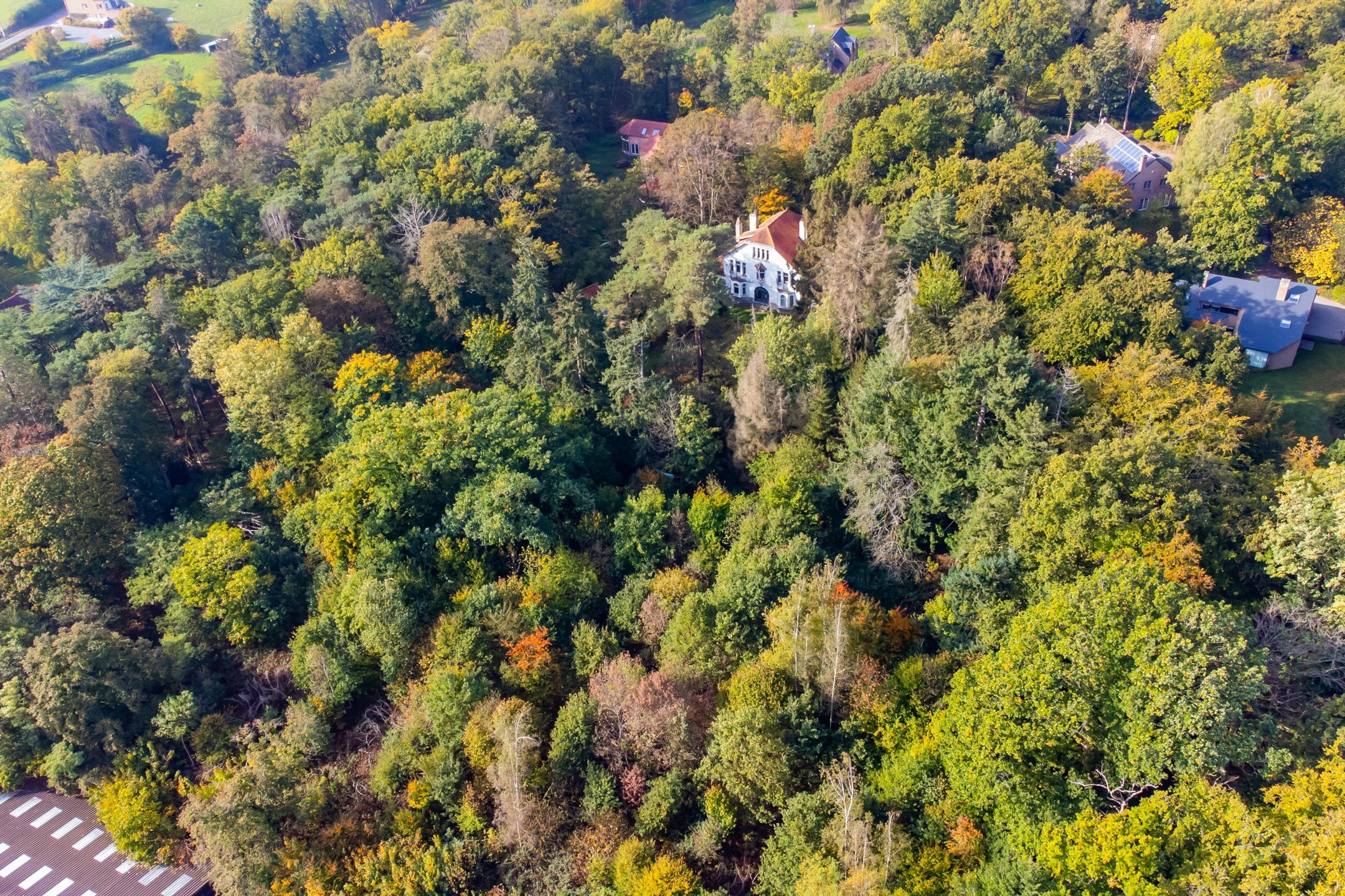 Picture 1 of 4 for Building ground in Lasne