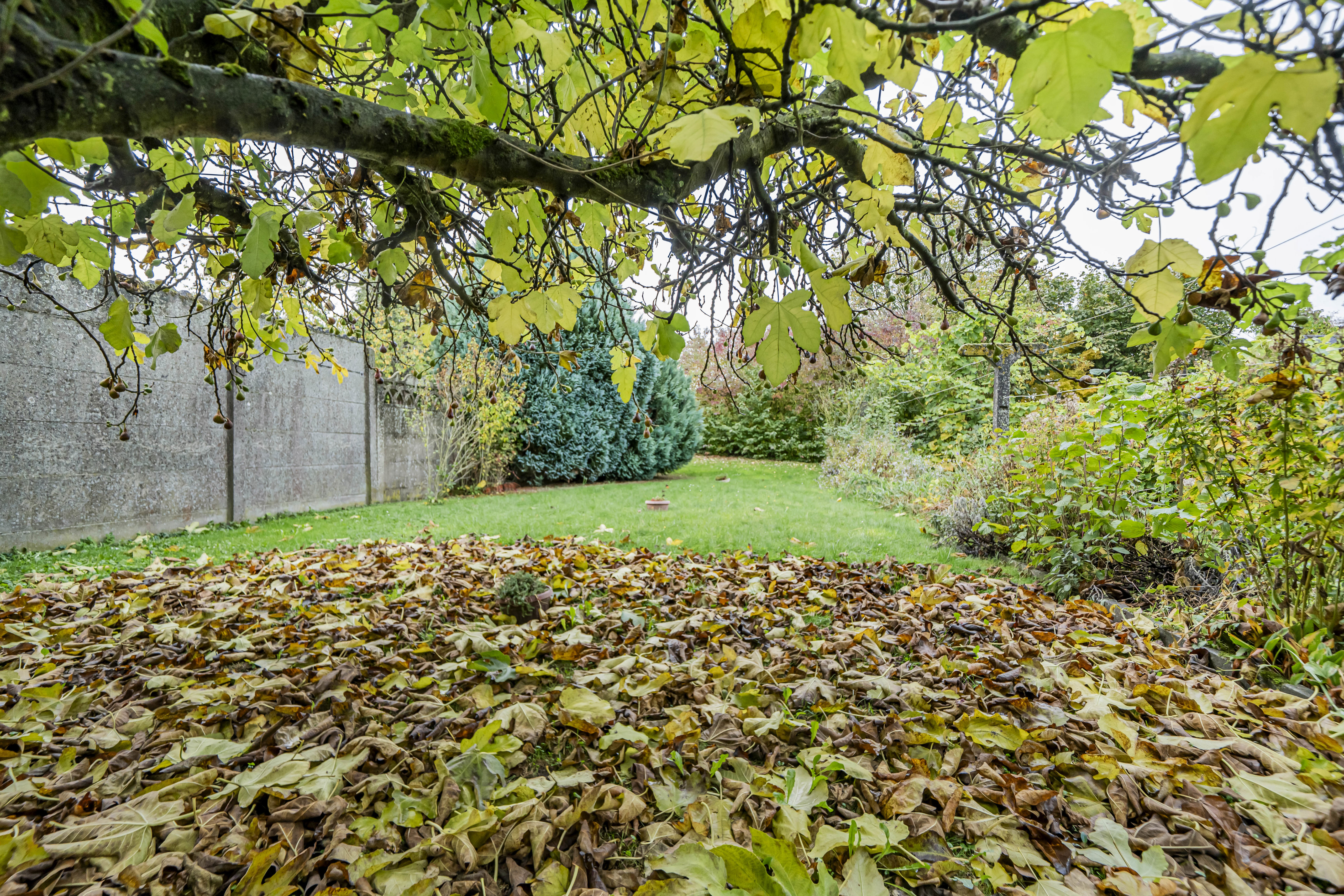 Picture 3 of 3 for House with three bedrooms in Enghien