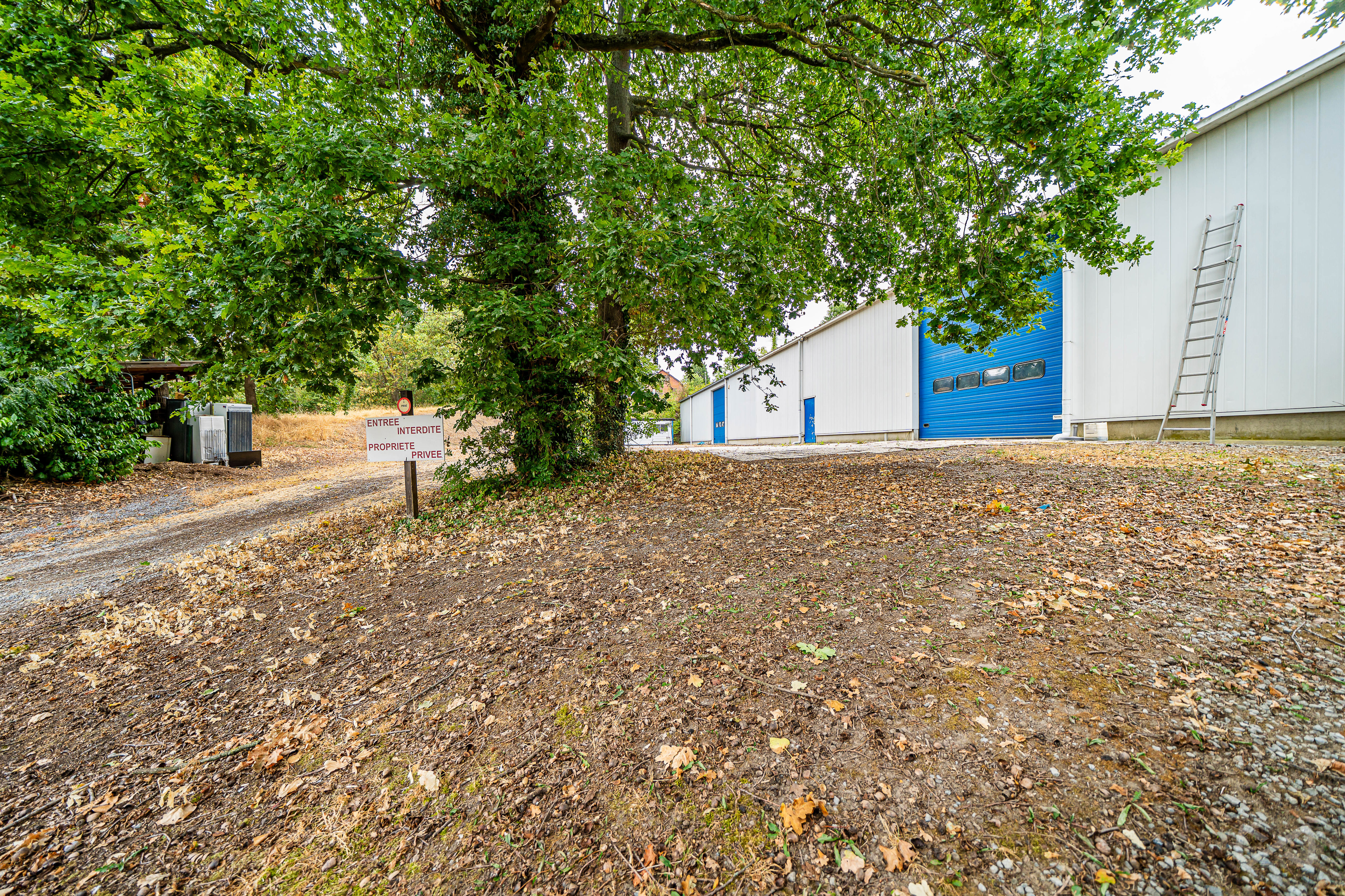 Picture 1 of 4 for Warehouse in Tihange