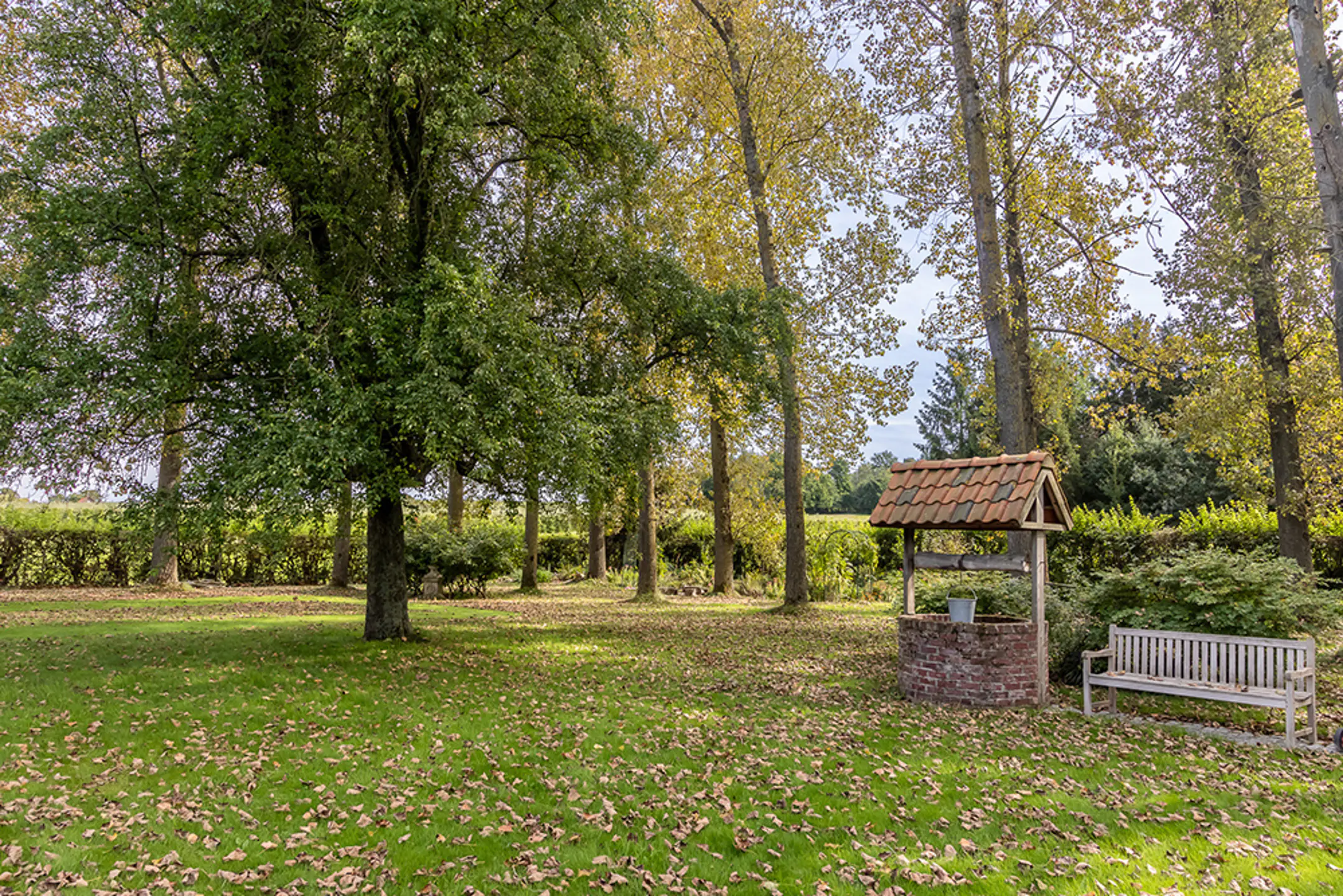 Picture of the property