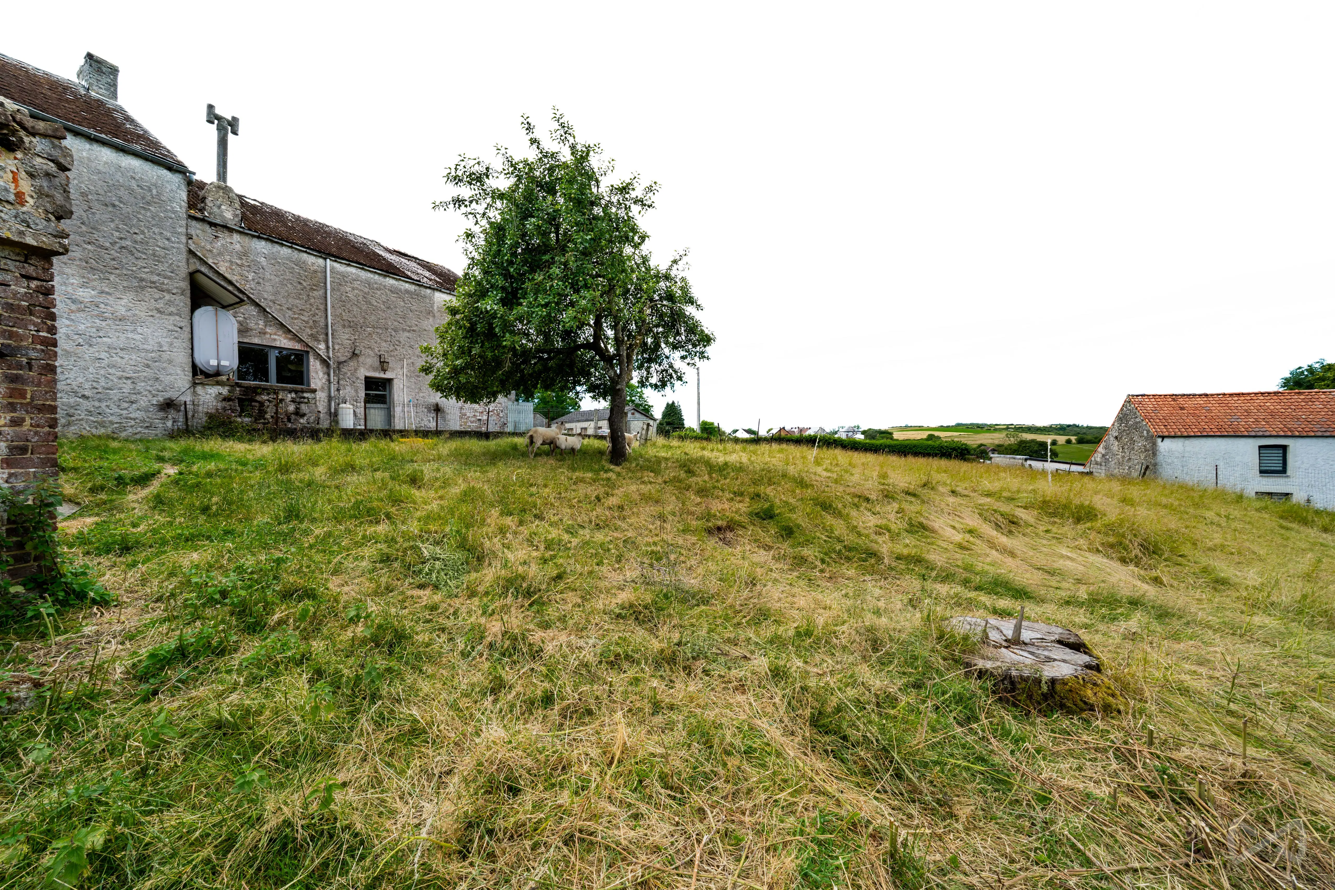 Picture 2 of 4 for House with two bedrooms in Senzeille