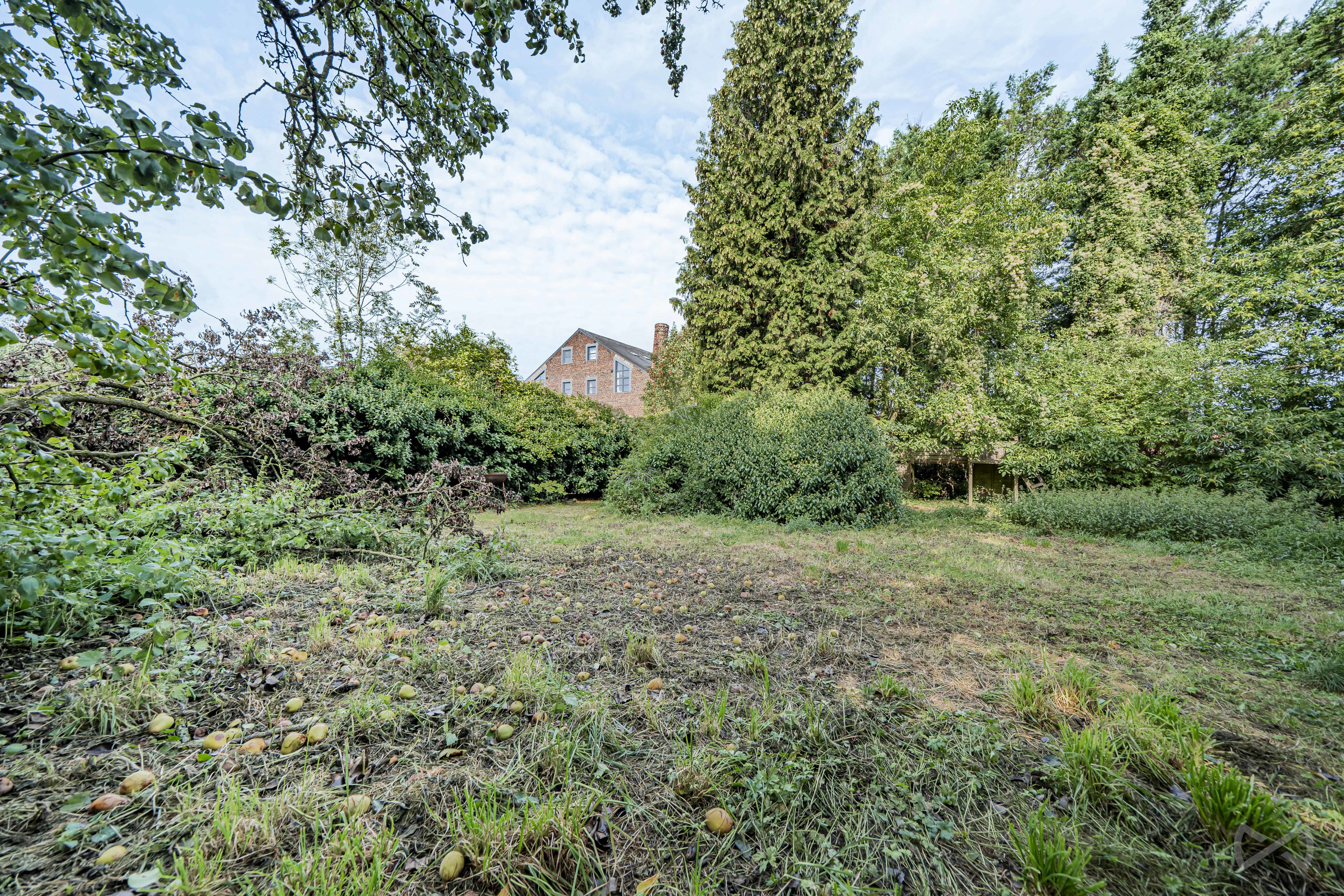 Picture 1 of 4 for Maison de maitre with seven bedrooms in Soignies