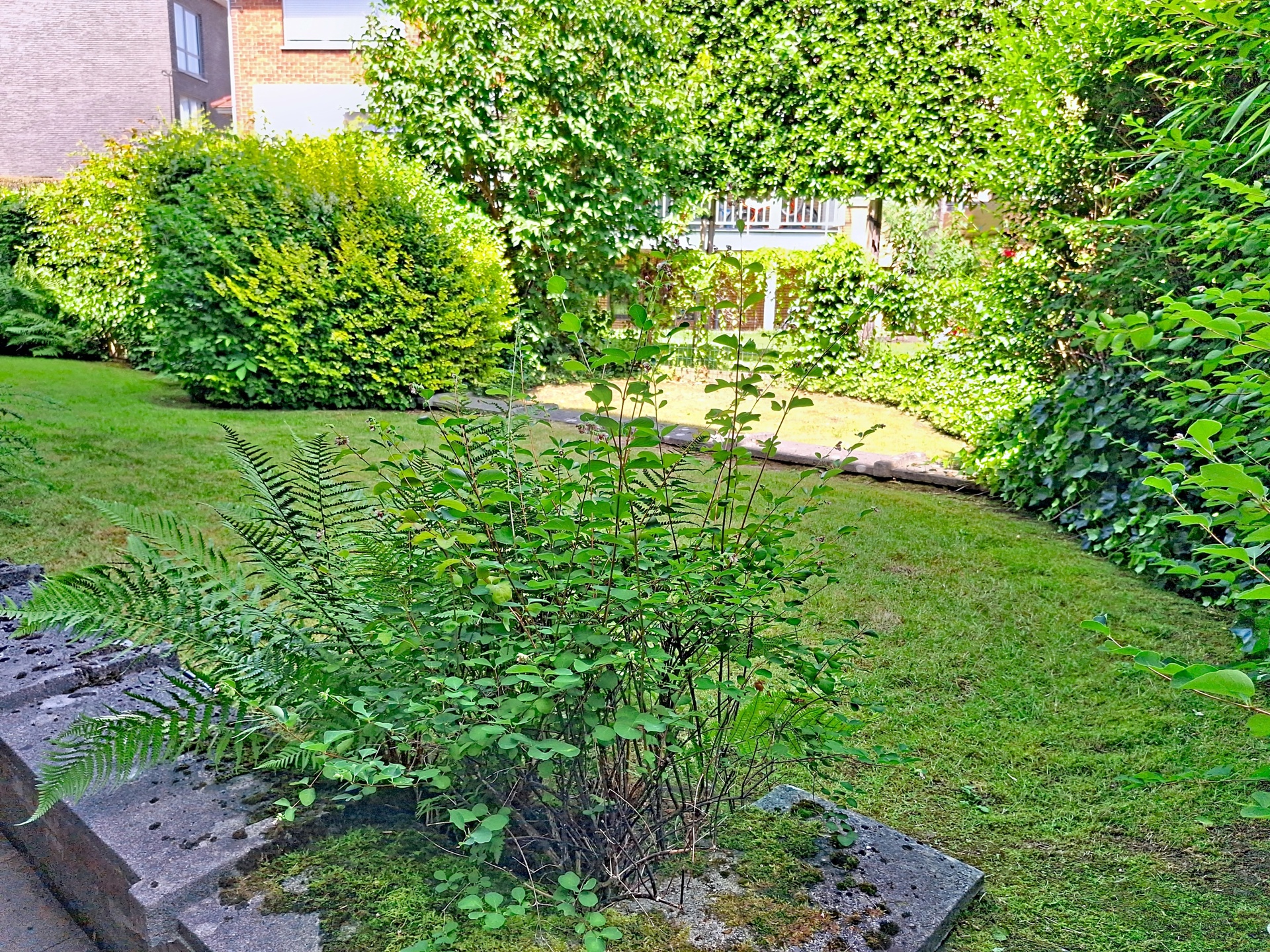 Photo 4 sur 4 pour Commerce individuel à Wemmel