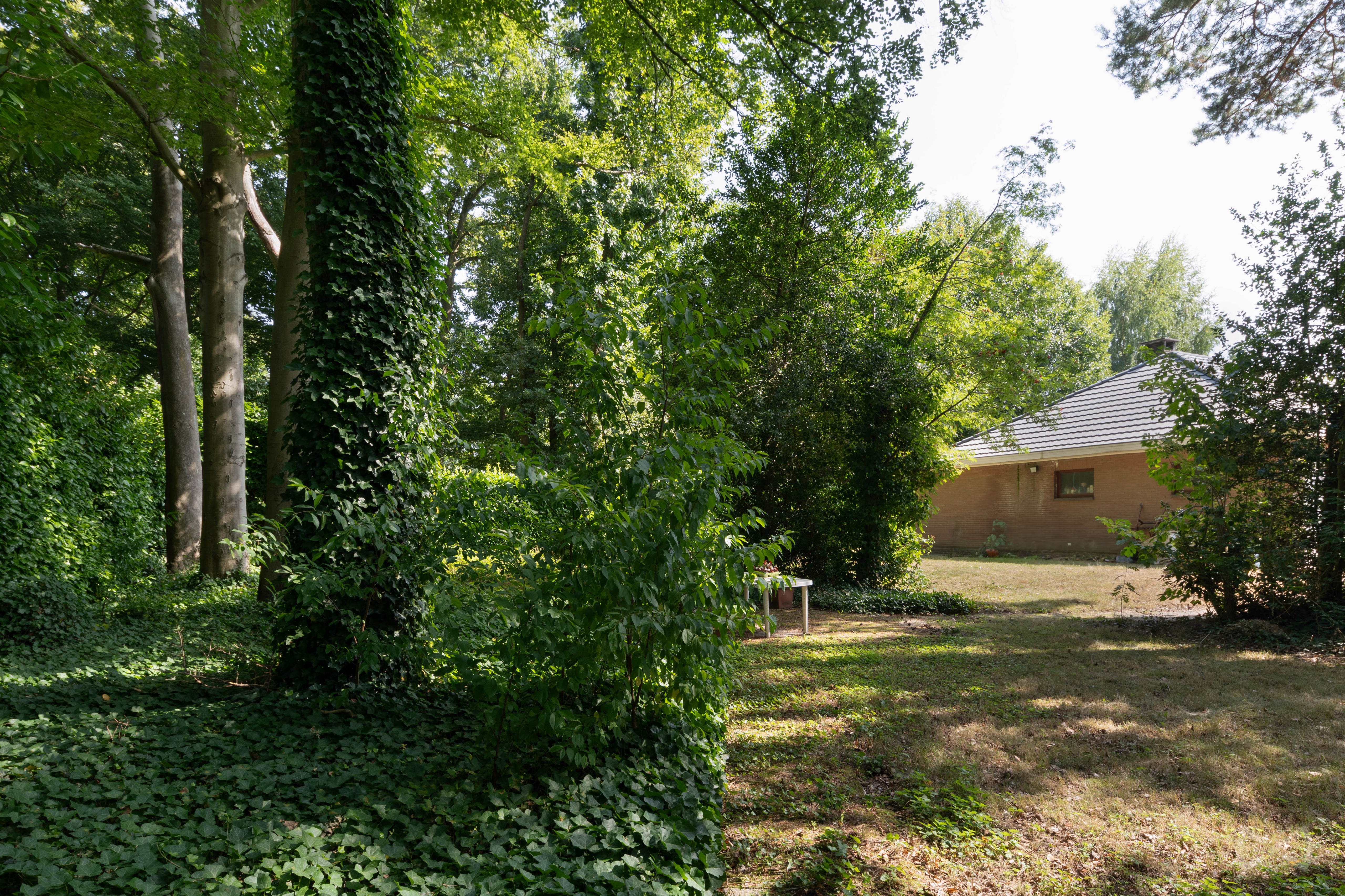 Picture 4 of 4 for House with four bedrooms in Lubbeek Linden