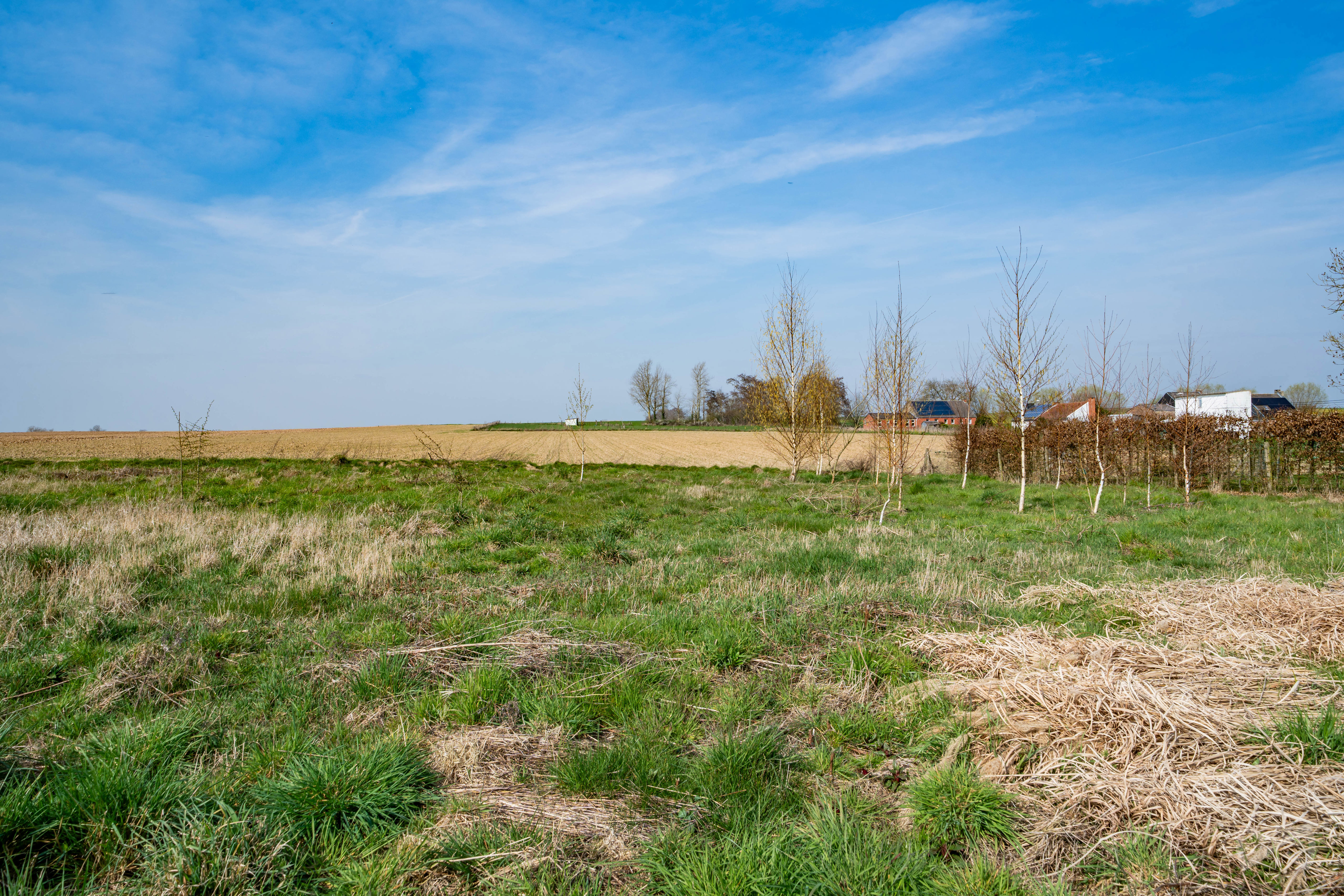 Photo 3 sur 4 pour Terrain à bâtir à Piétrain