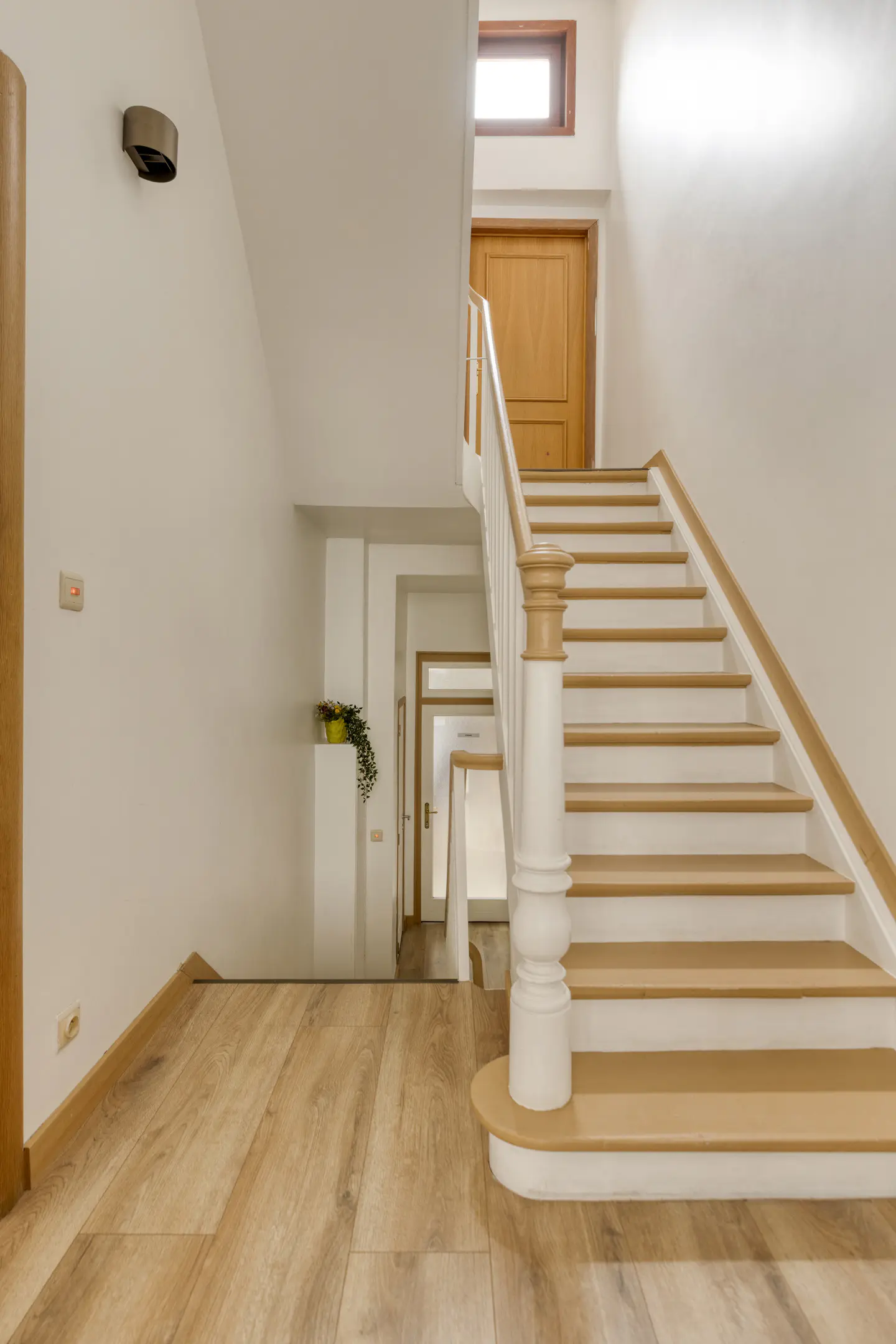 Picture 3 of 4 for Multi-purpose building in Blankenberge