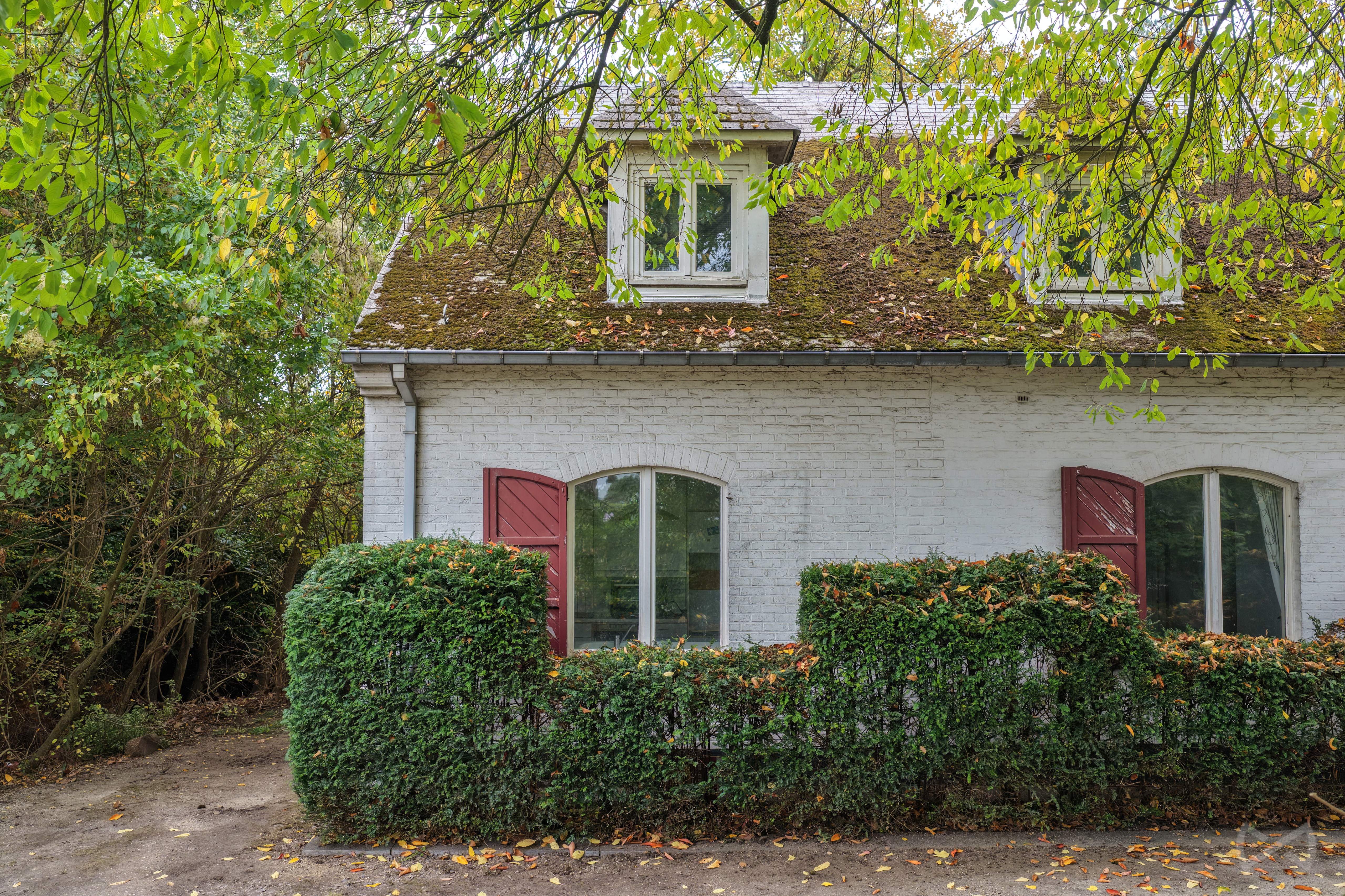 Picture of the property