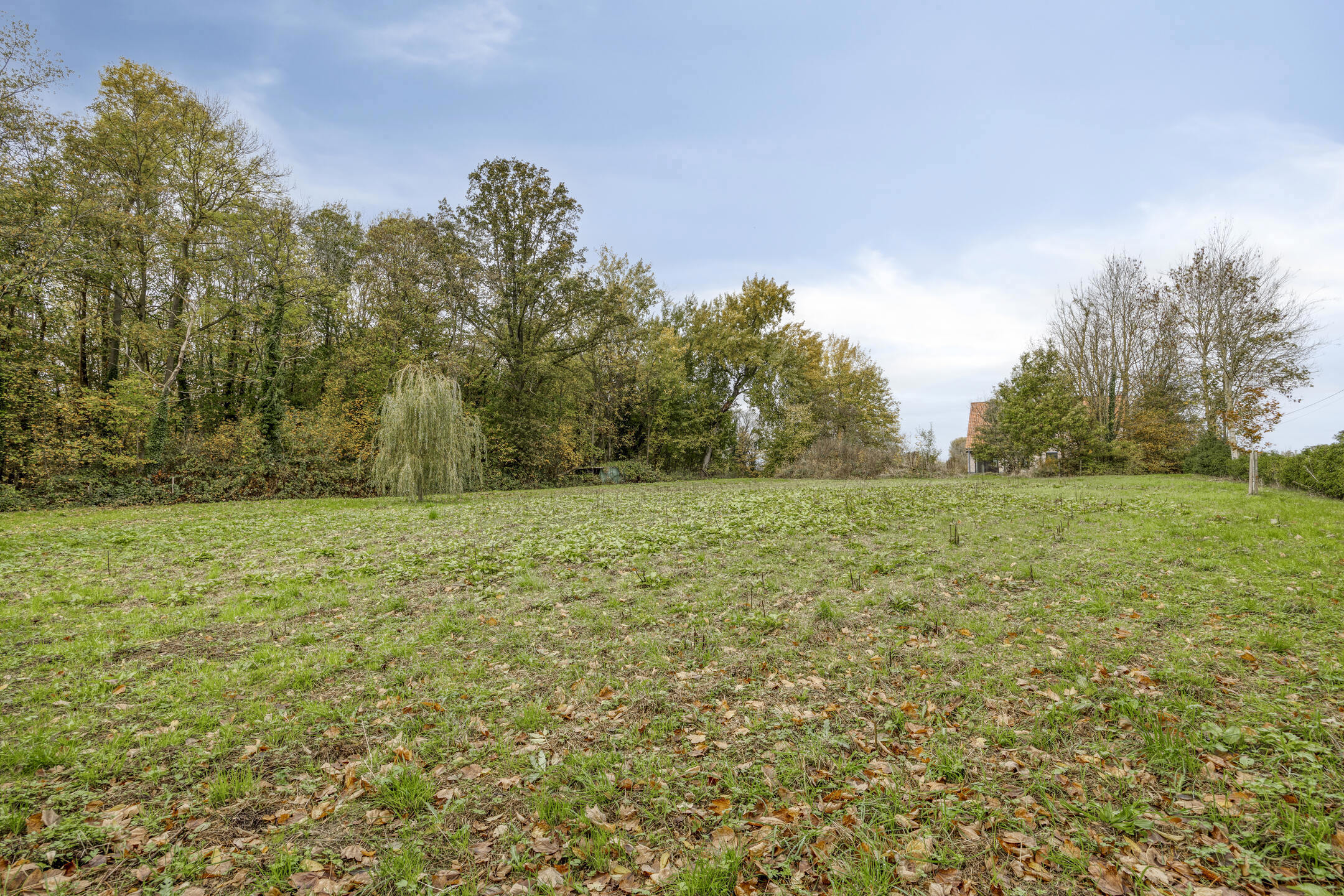 Picture 1 of 2 for Exceptional house with four bedrooms in Ternat