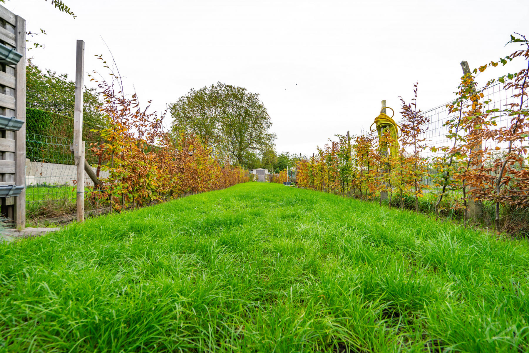 Picture 3 of 4 for House with three bedrooms in Tournai
