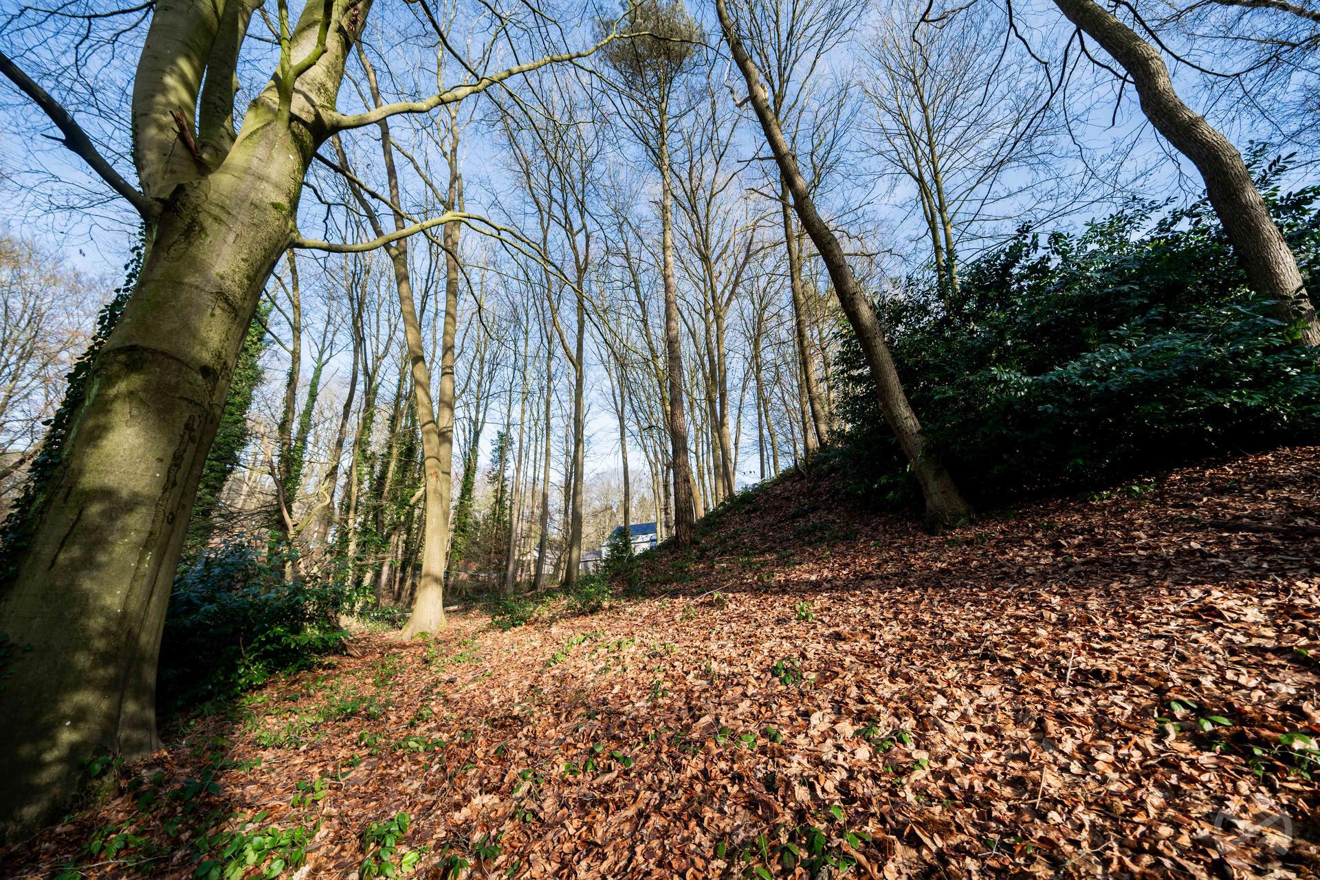 Foto 4 van 4 van Bouwgrond in Genappe