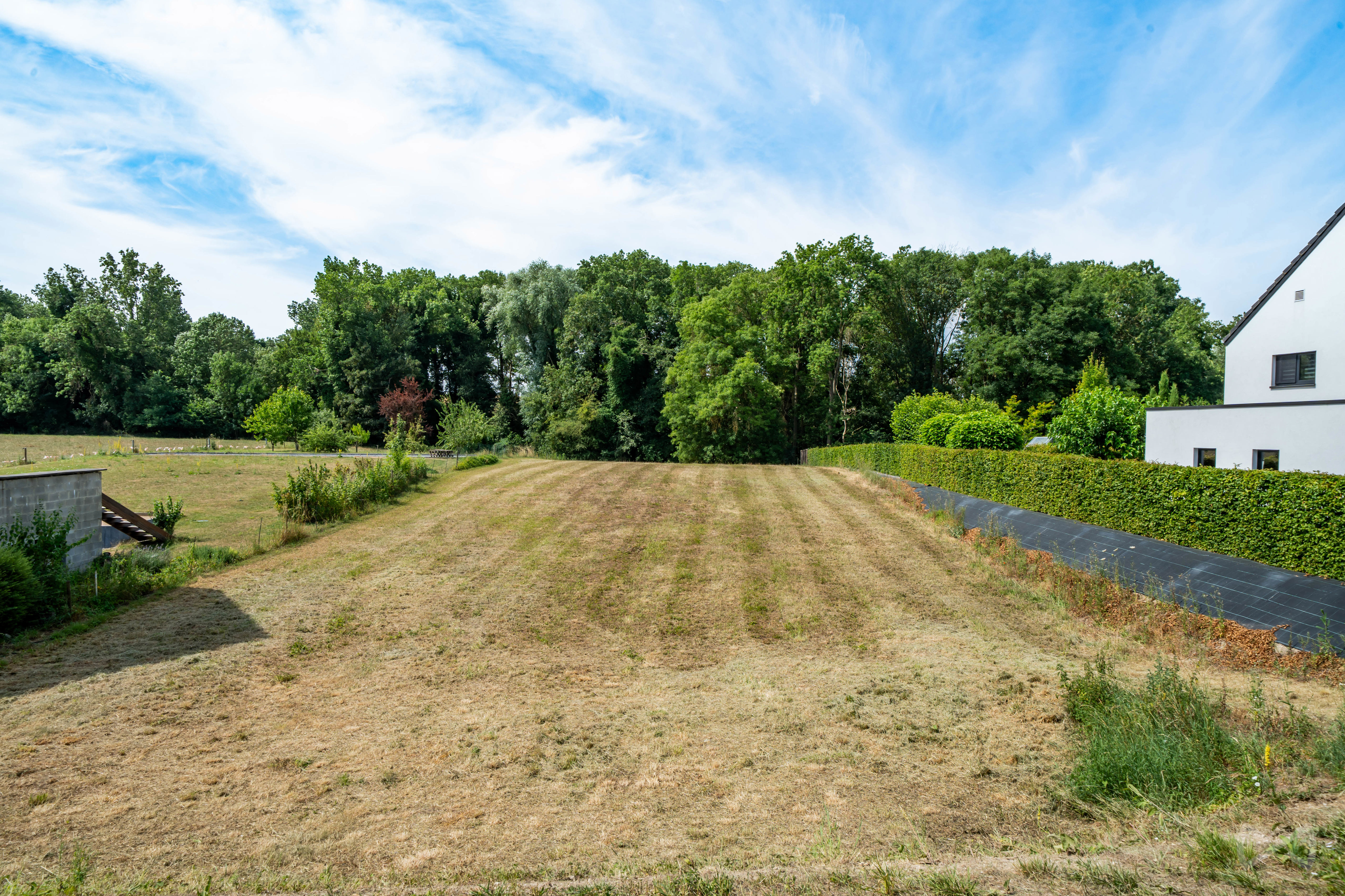 Foto van de woning
