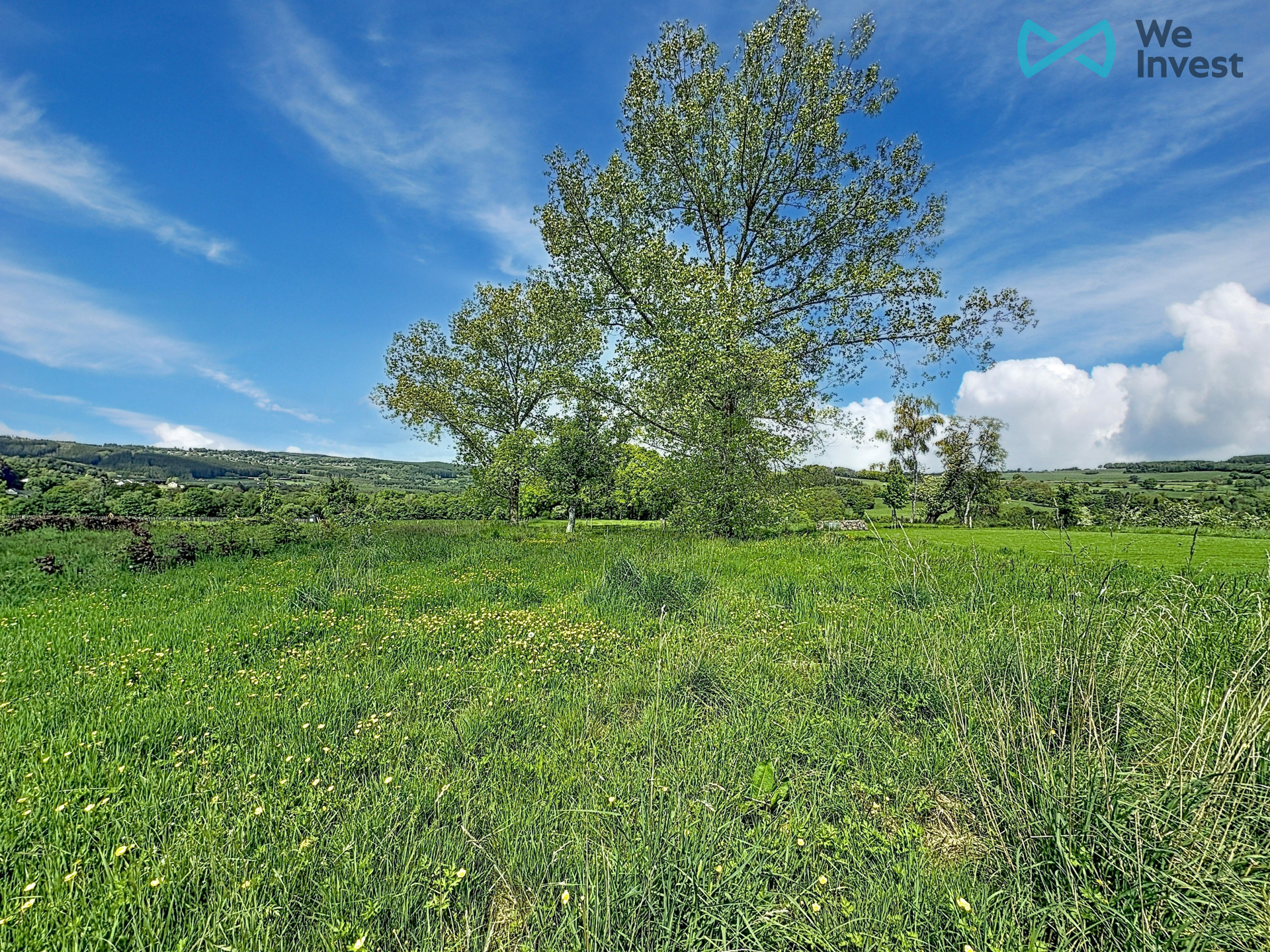 Picture of the property