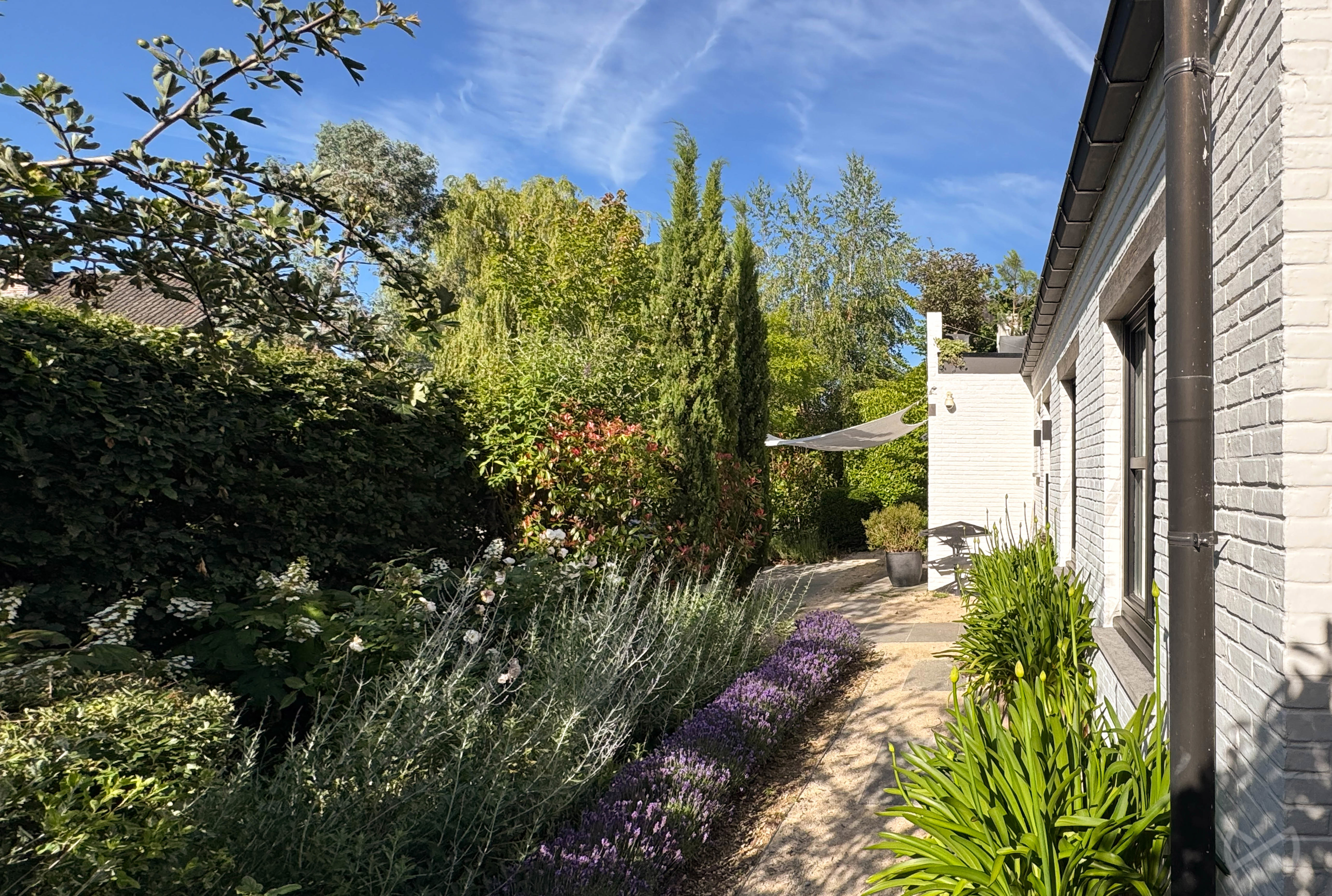 Picture 1 of 4 for Villa with five bedrooms in Bierbeek Korbeek-Lo