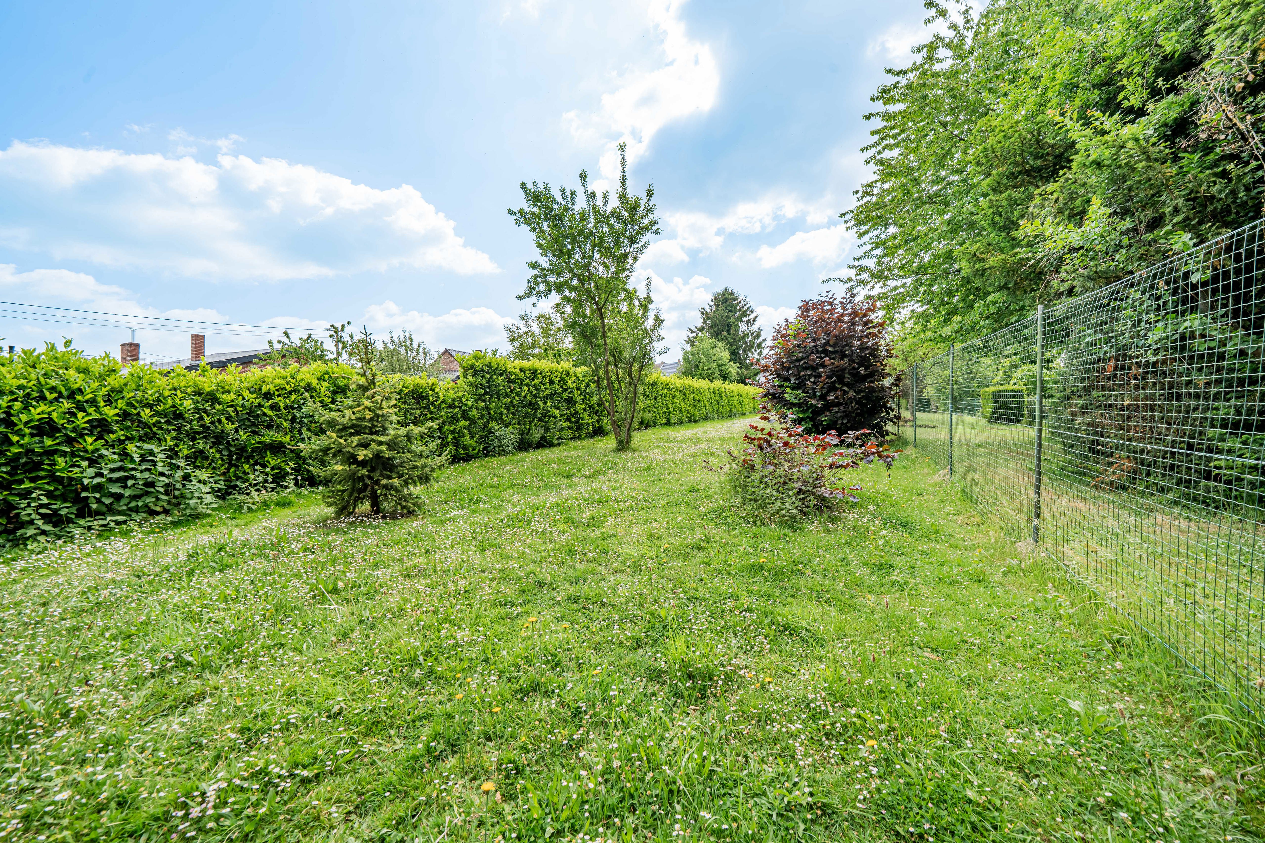 Picture 3 of 4 for House with six bedrooms in ChÂtelet