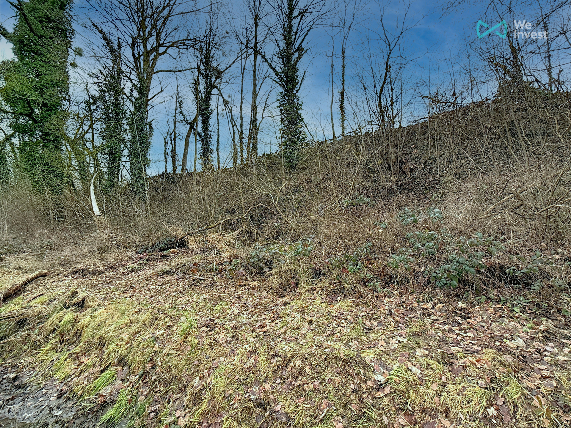 Photo 2 sur 4 pour Terrain à bâtir à Incourt