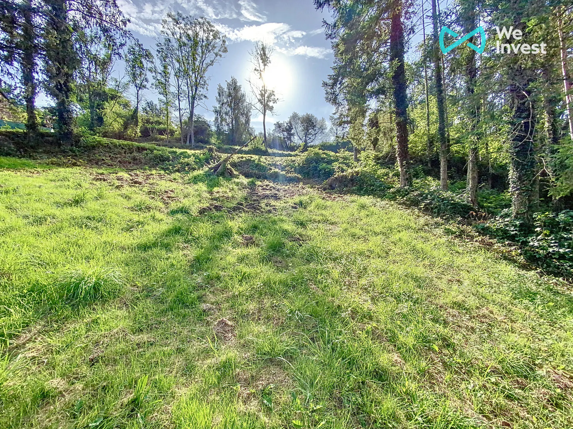 Foto van de woning
