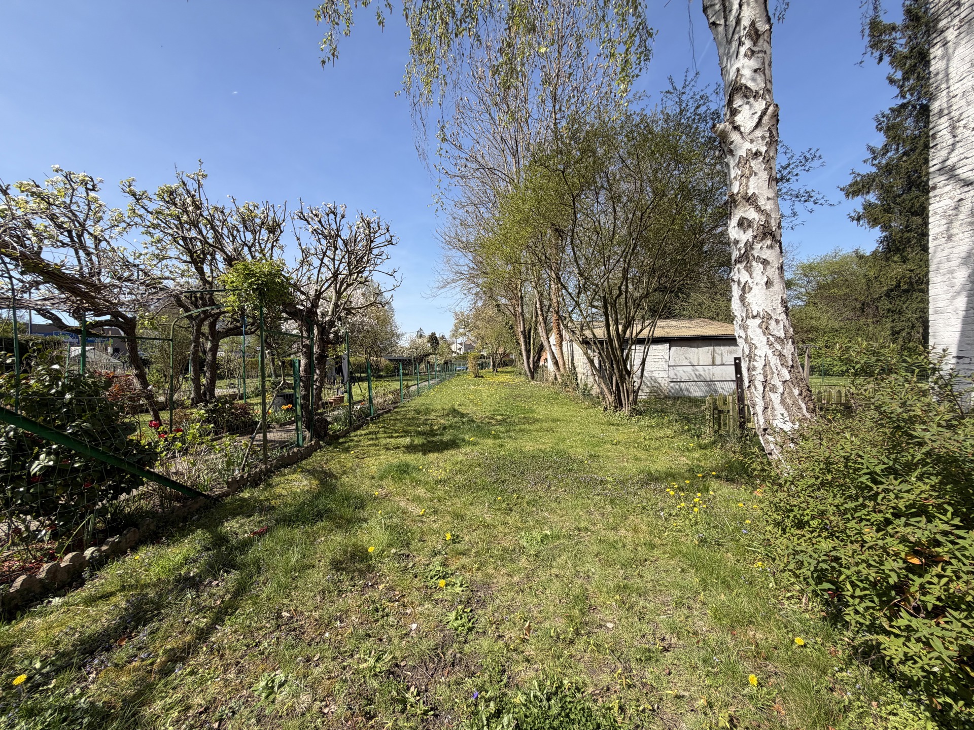 Picture 1 of 4 for House with three bedrooms in Wanze
