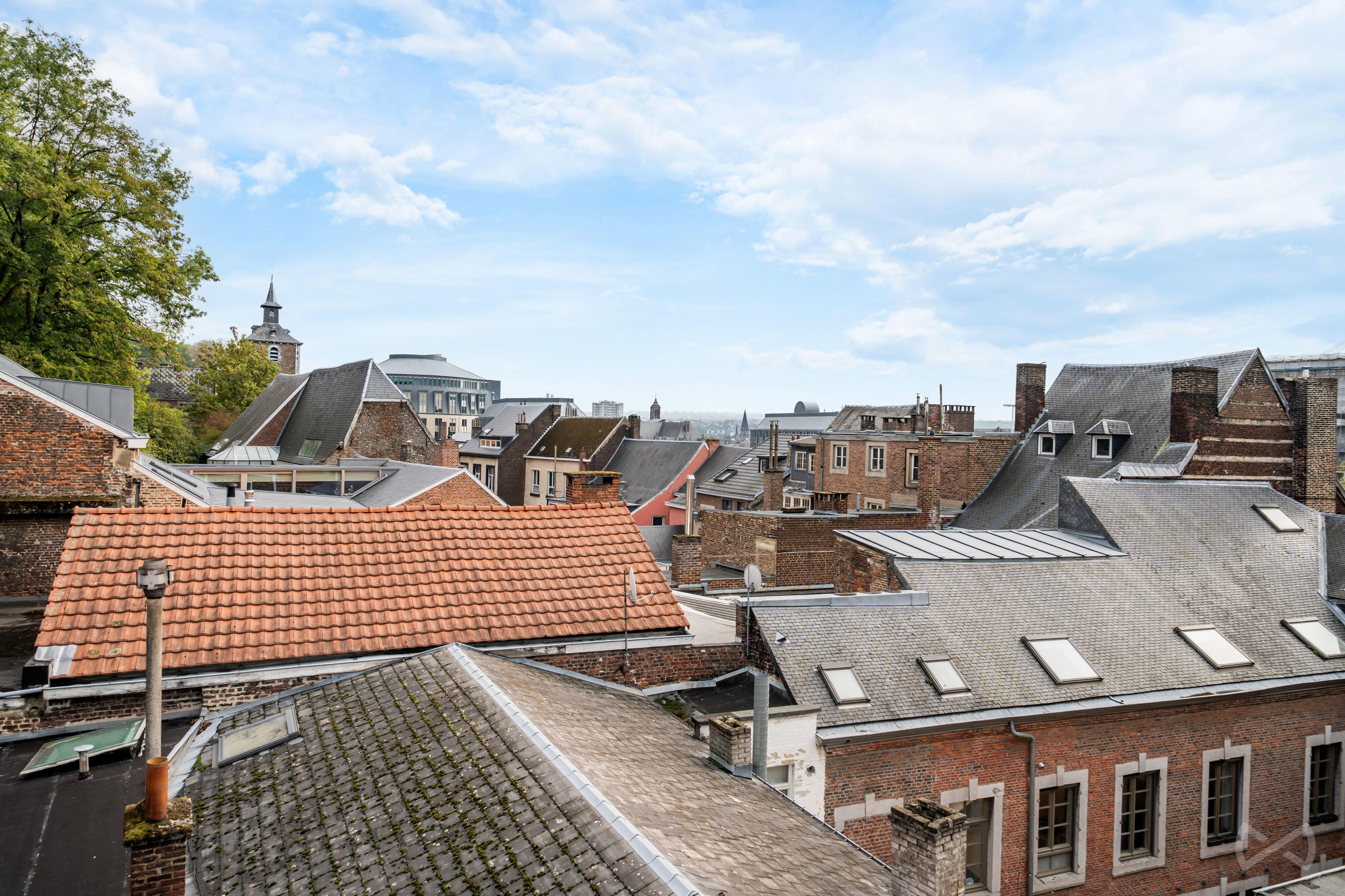 Picture 1 of 4 for Flat with one bedroom in Liège