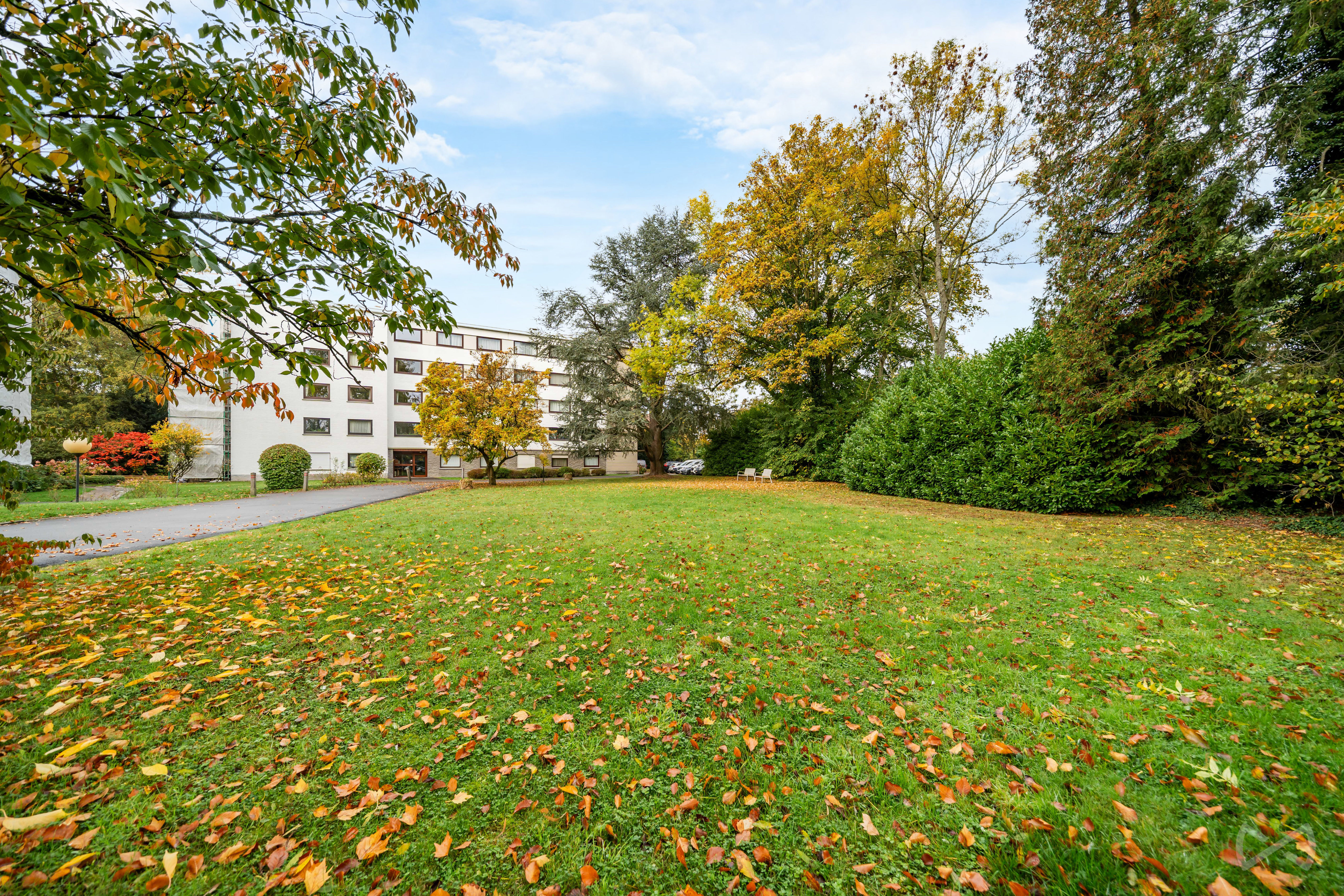 Picture 2 of 4 for Studio in Waterloo