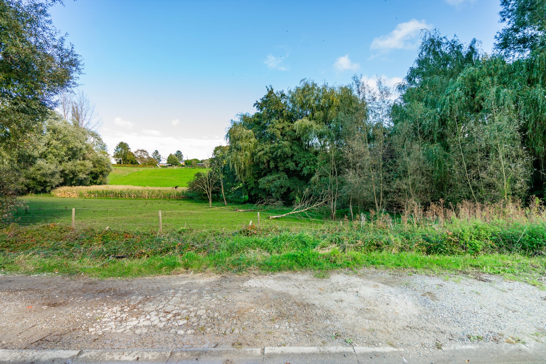 Foto van de woning