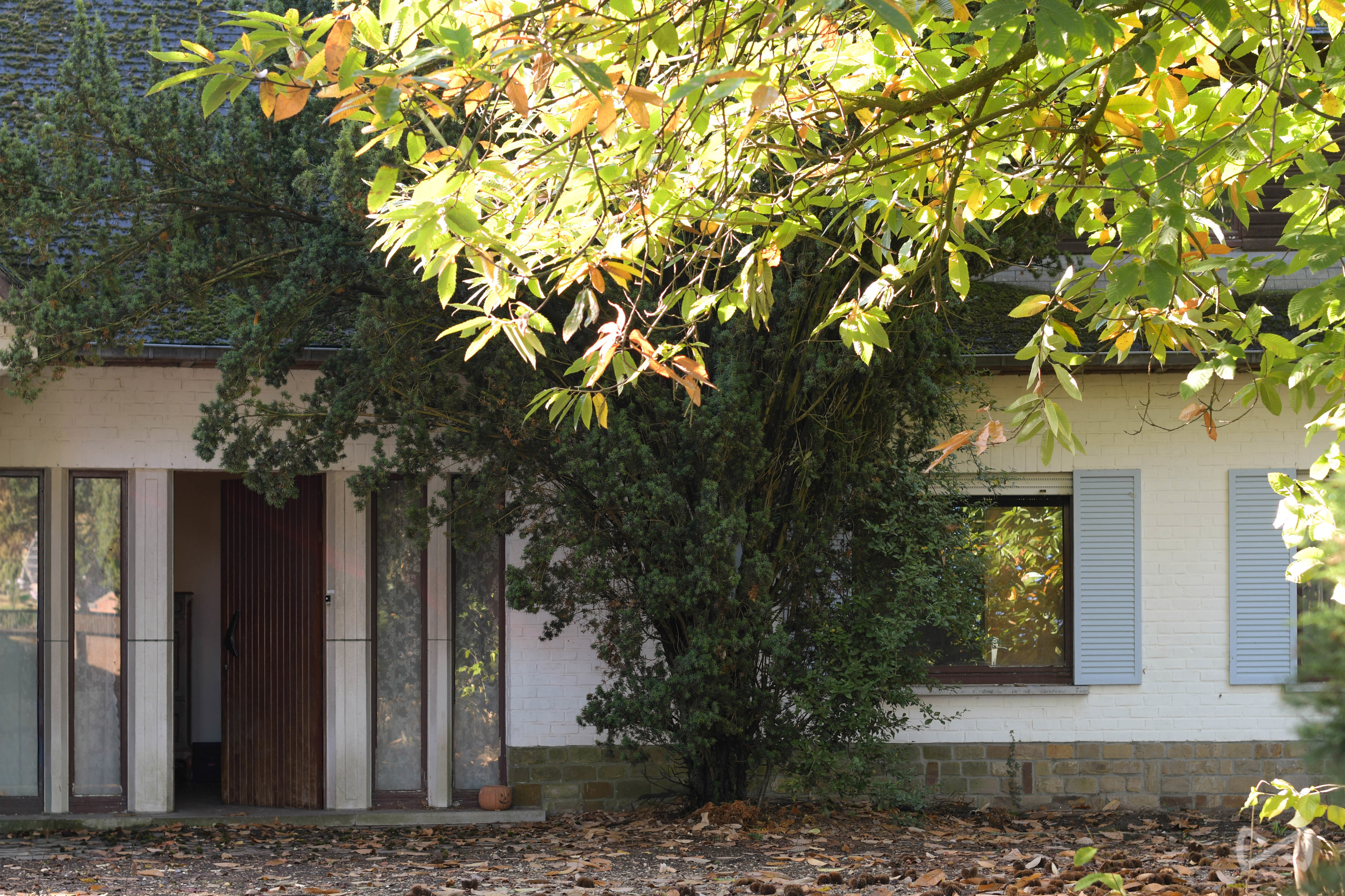 Foto 3 van 4 van Villa met vier slaapkamers in Rotselaar