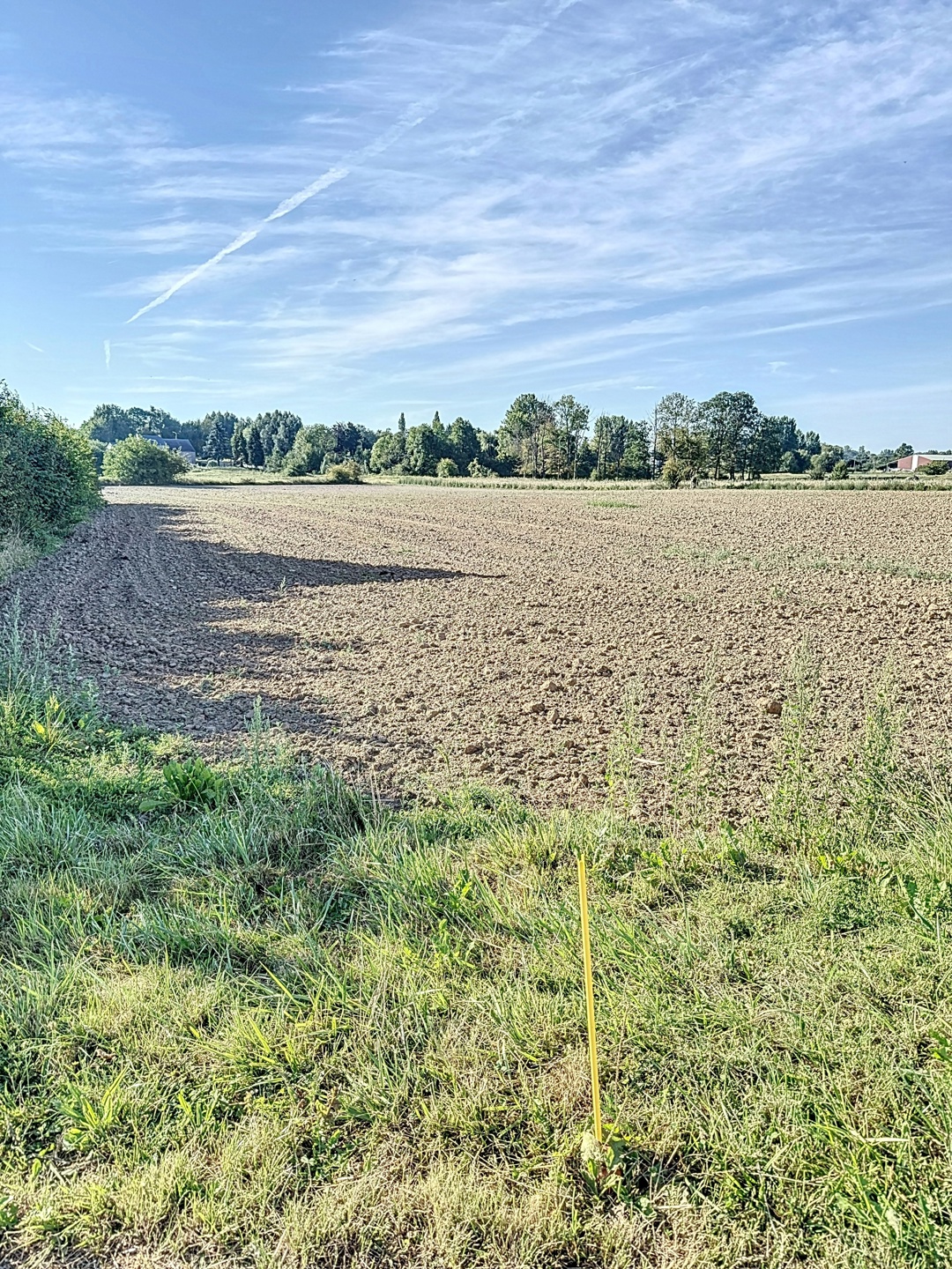 Picture 4 of 4 for Building ground in Burdinne Hannêche