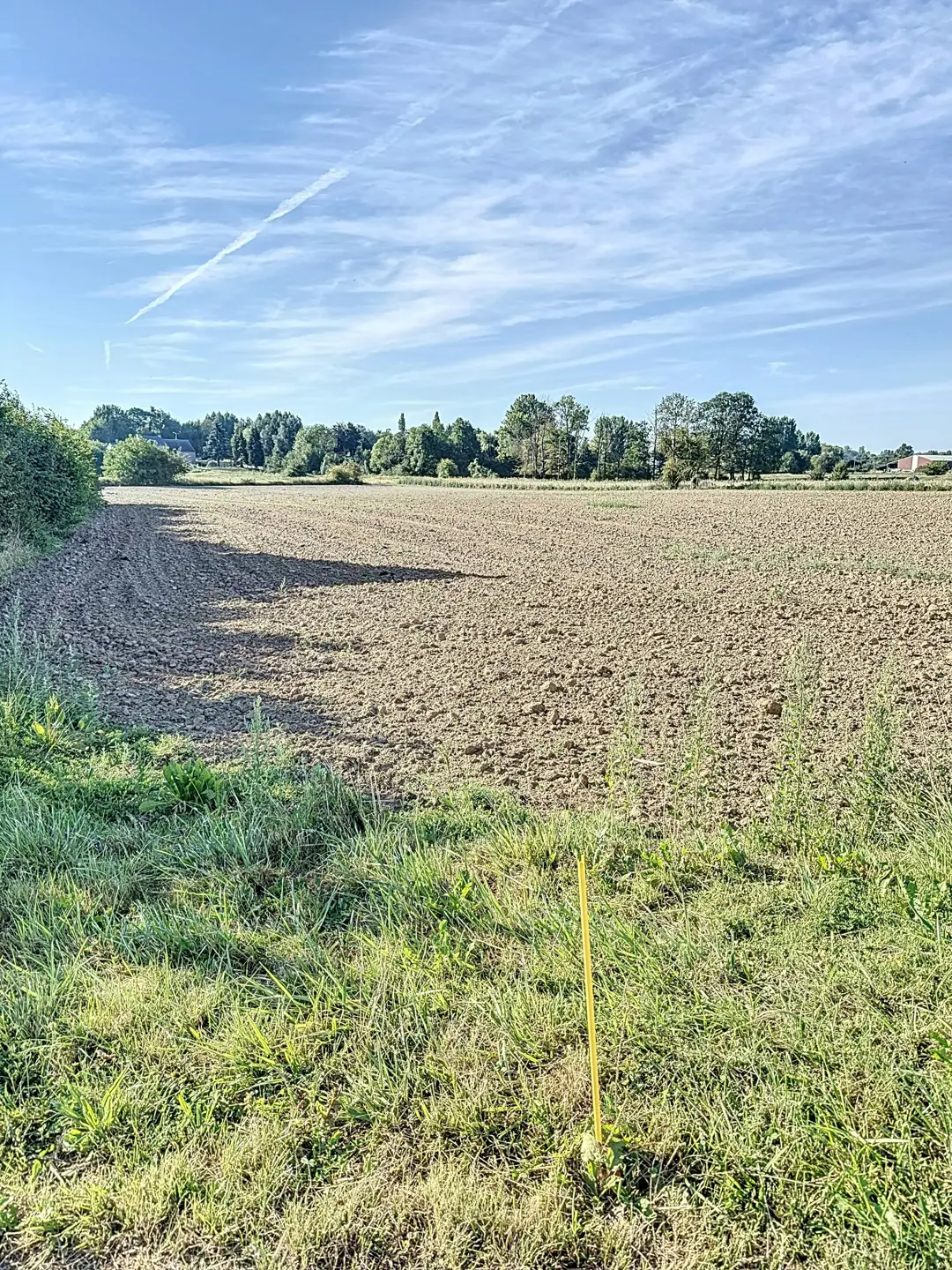 Picture 4 of 4 for Building ground in Burdinne Hannêche