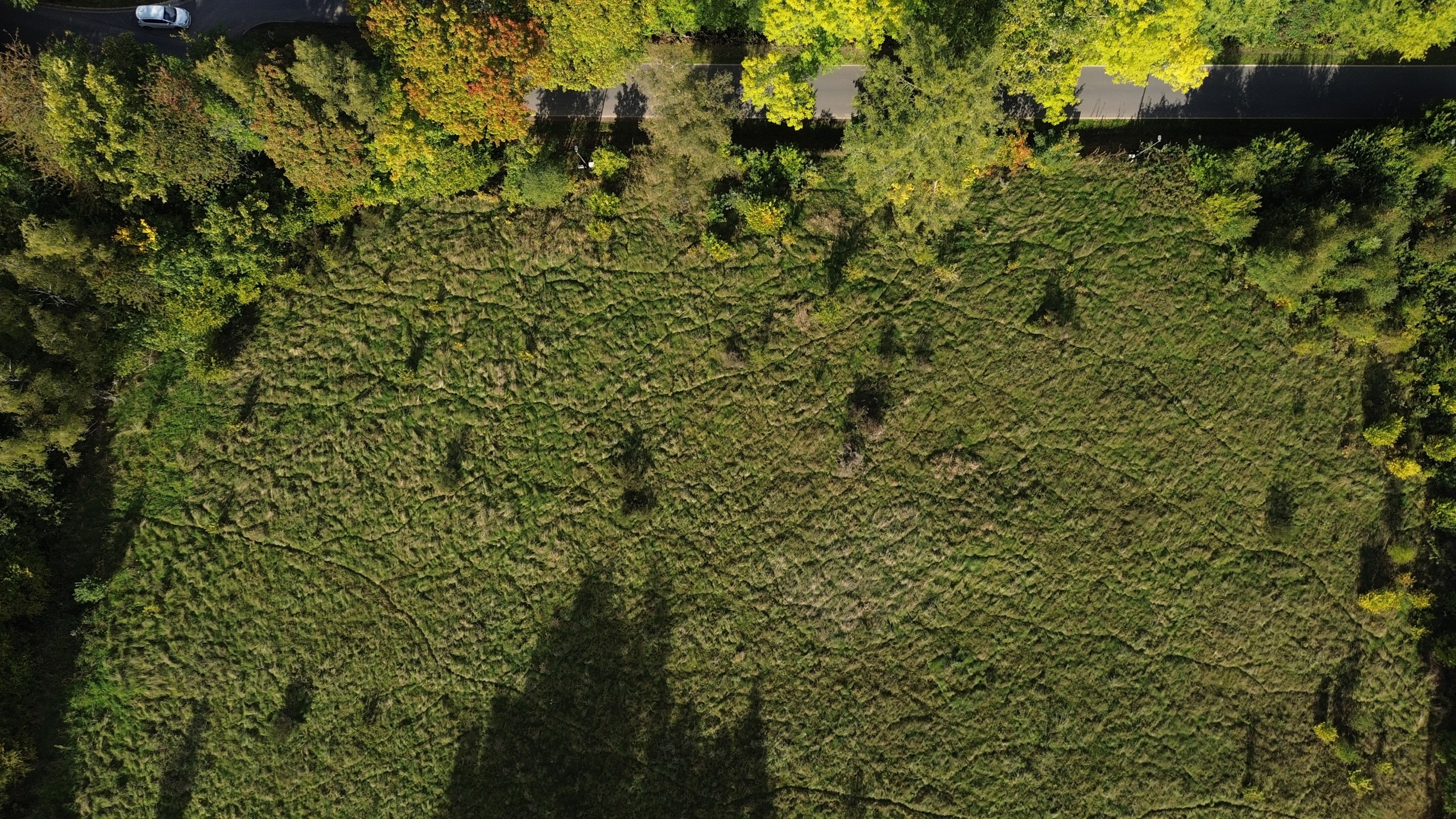 Picture 3 of 3 for Building ground in Stavelot