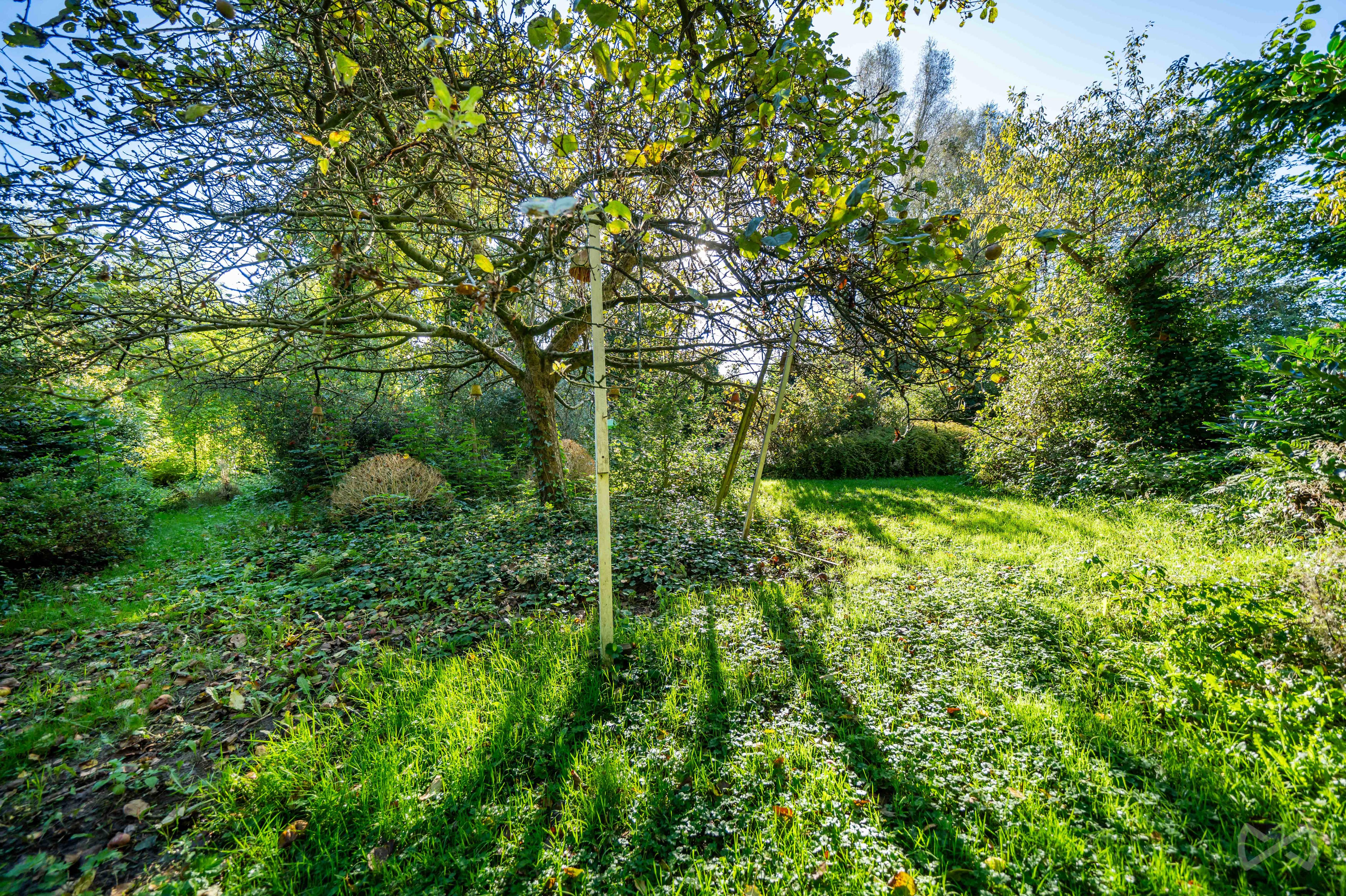 Photo 1 sur 5 pour Terrain à bâtir à Saive